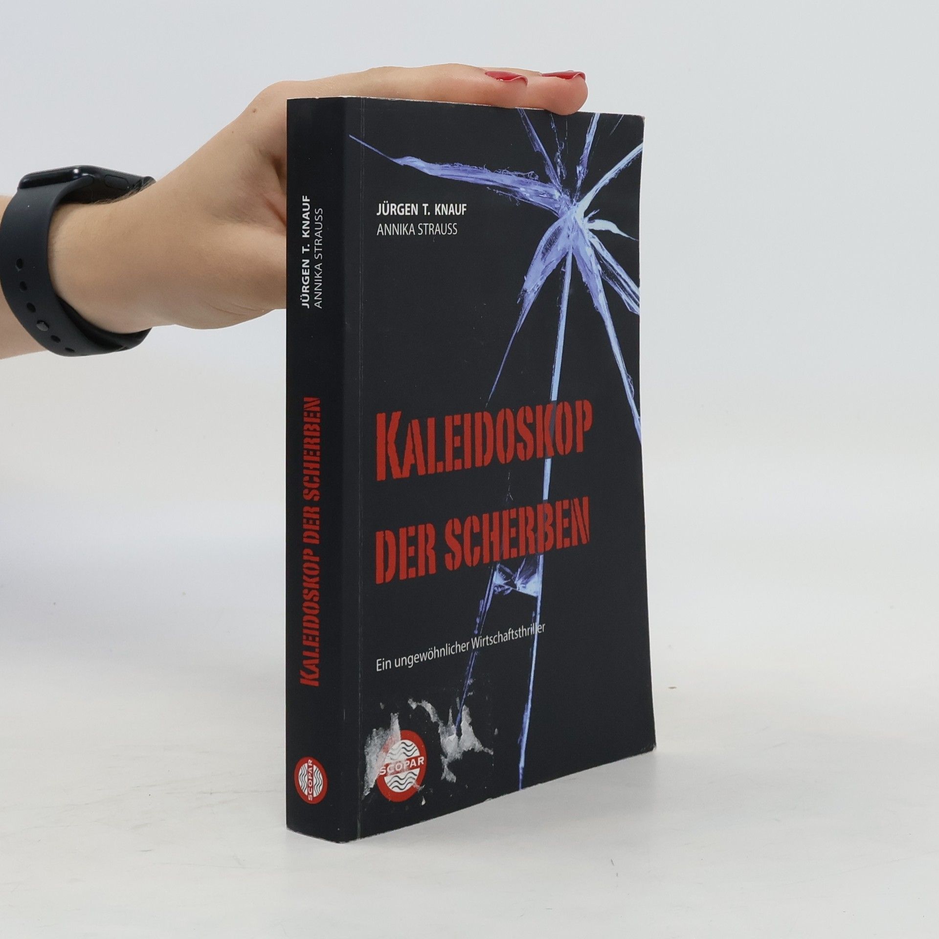 Kaleidoskop der Scherben