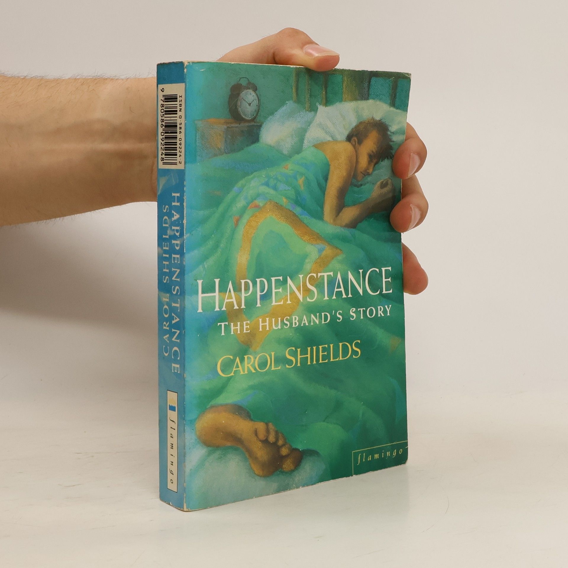Carol Shields Happenstance