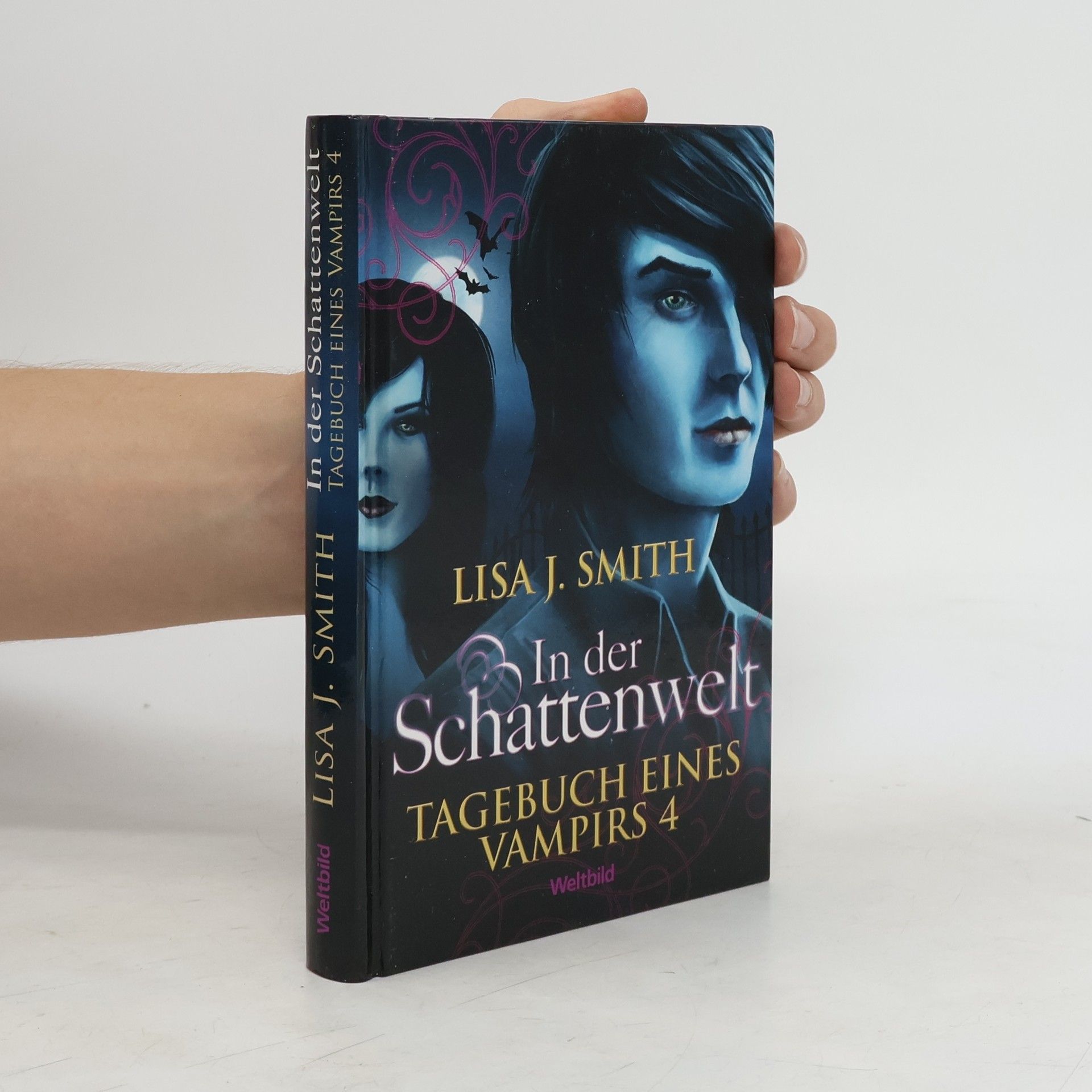 L. J. Smith Tagebuch eines Vampirs 4. In der Schattenwelt