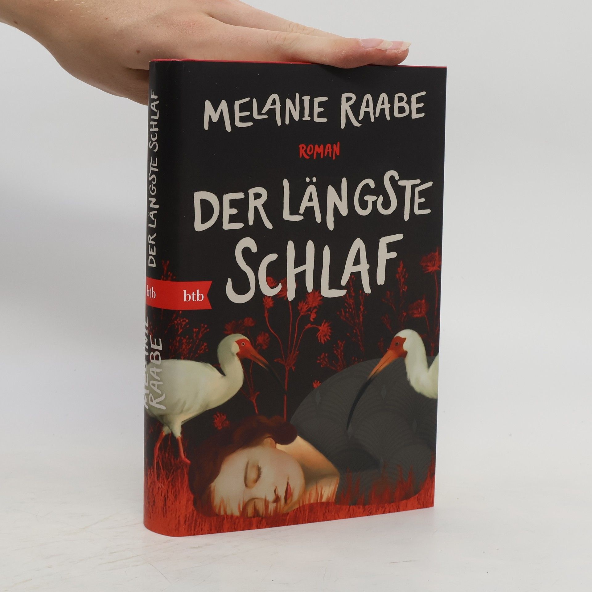 Melanie Raabe Der längste Schlaf. Roman