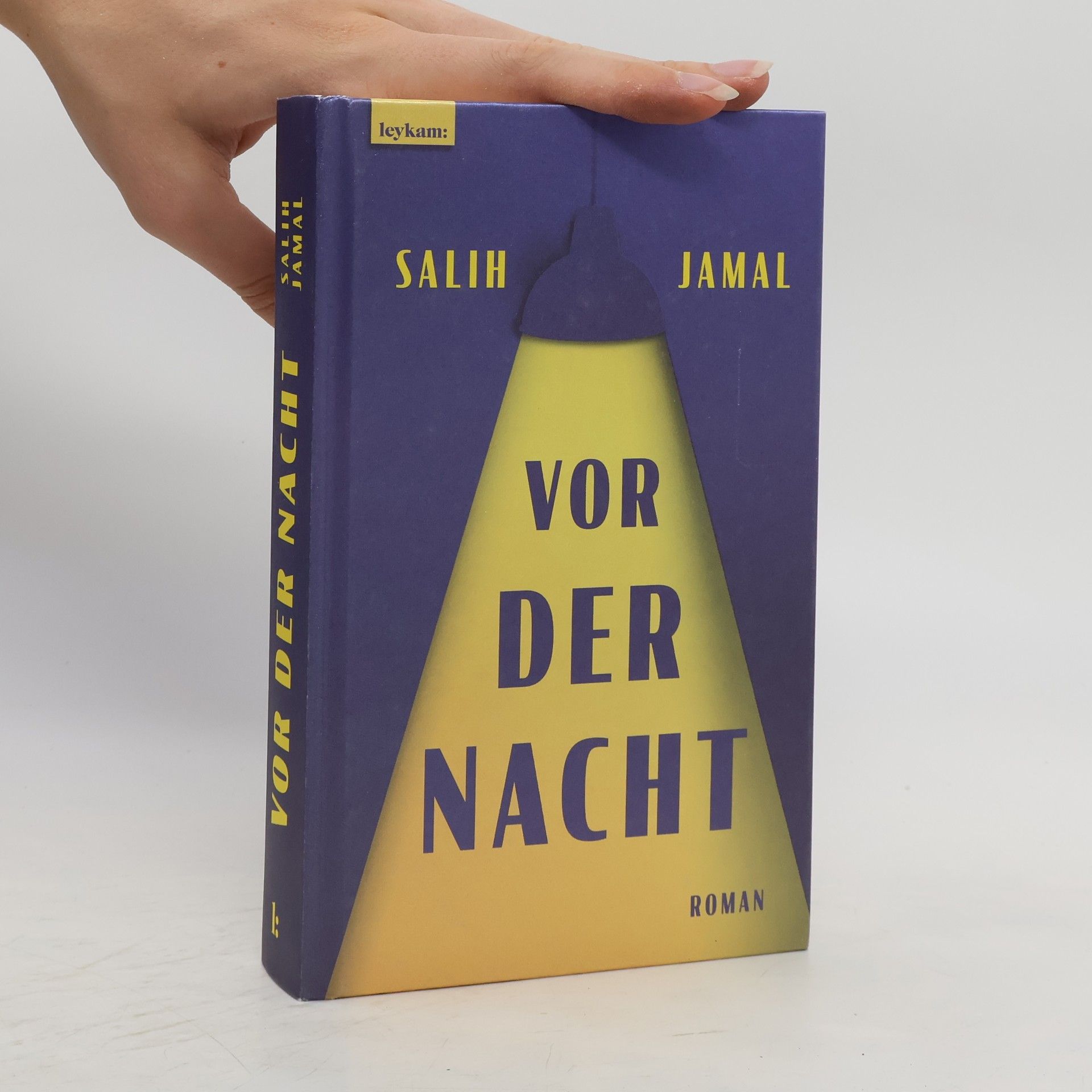 Salih Jamal Vor der Nacht. Roman