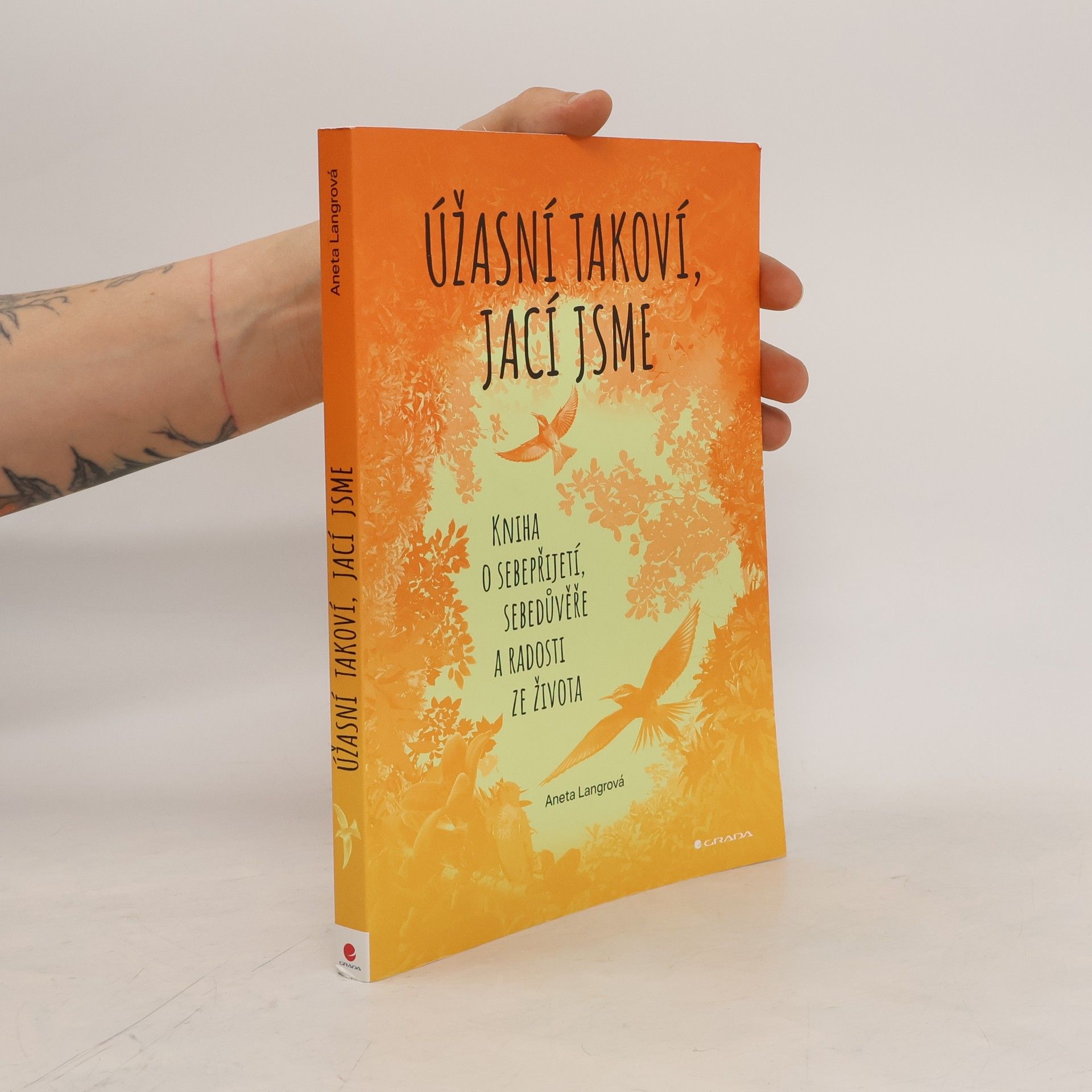 Aneta Langrová Úžasní takoví, jací jsme. Kniha o sebepřijetí, sebedůvěře a radosti ze života
