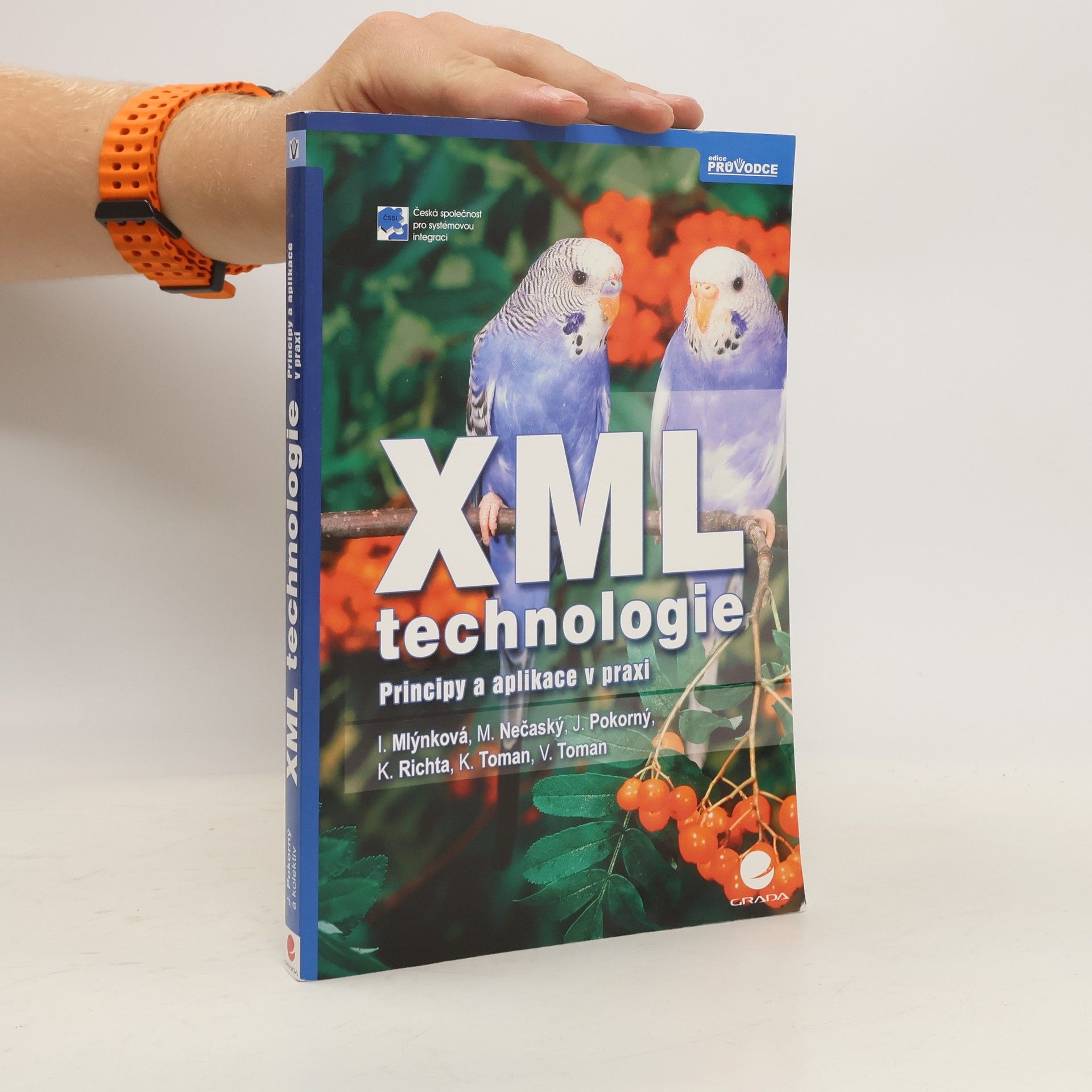 Irena Holubová XML technologie