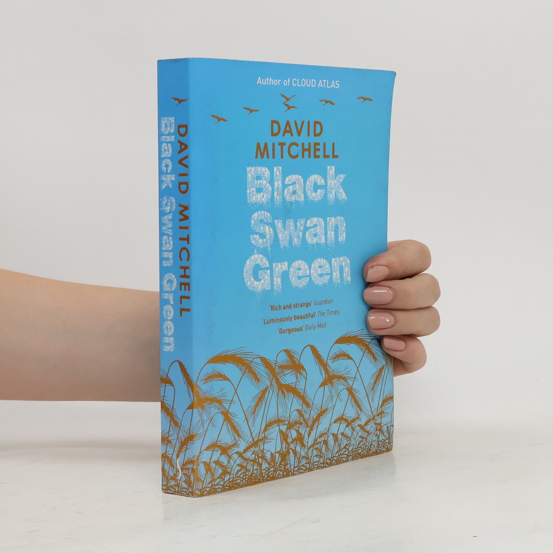 David Mitchell Black swan green