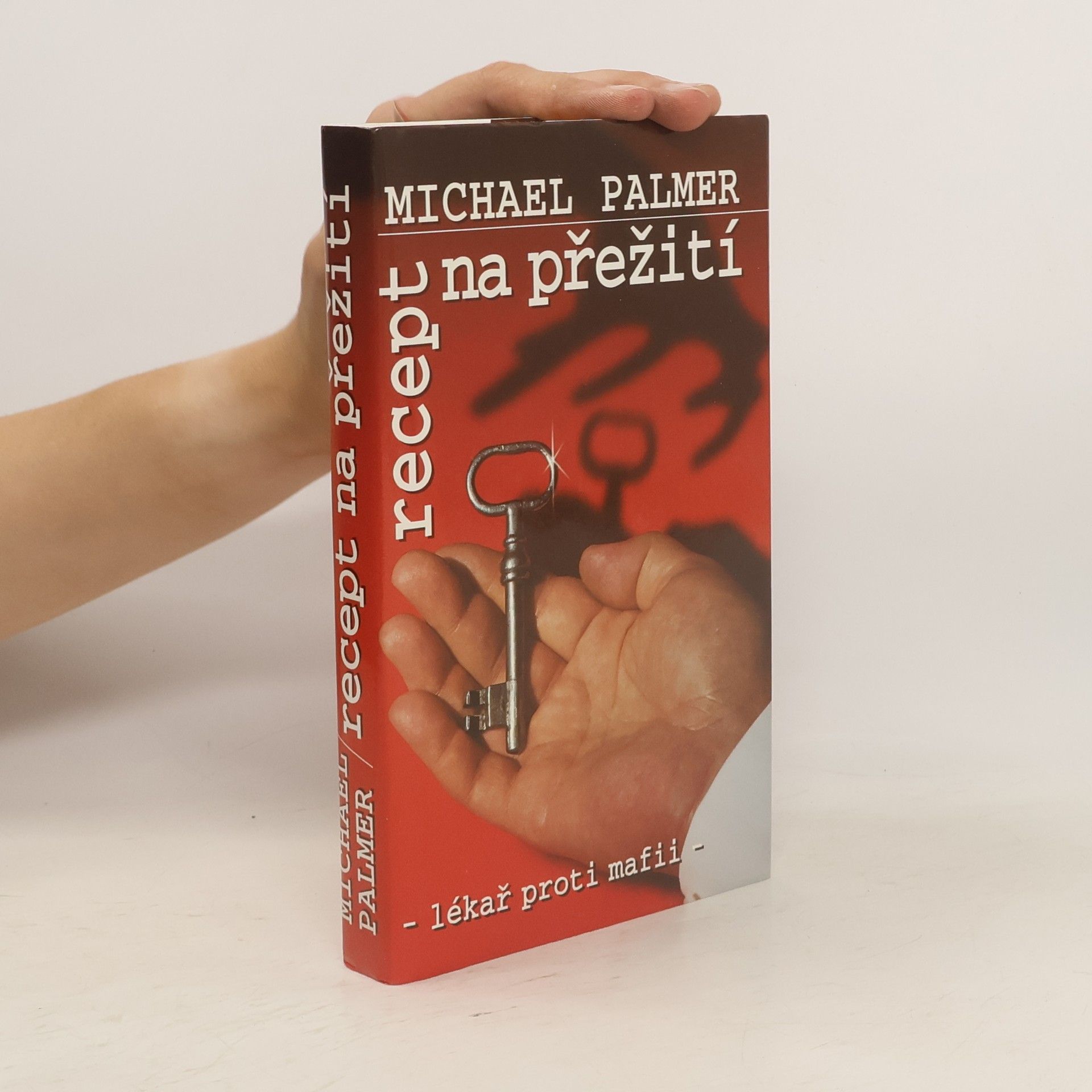 Michael Palmer Recept na přežití