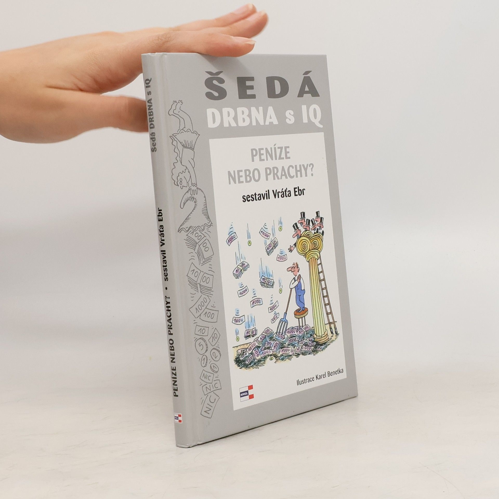 Vratislav Ebr Šedá drbna s IQ - Peníze nebo prachy?