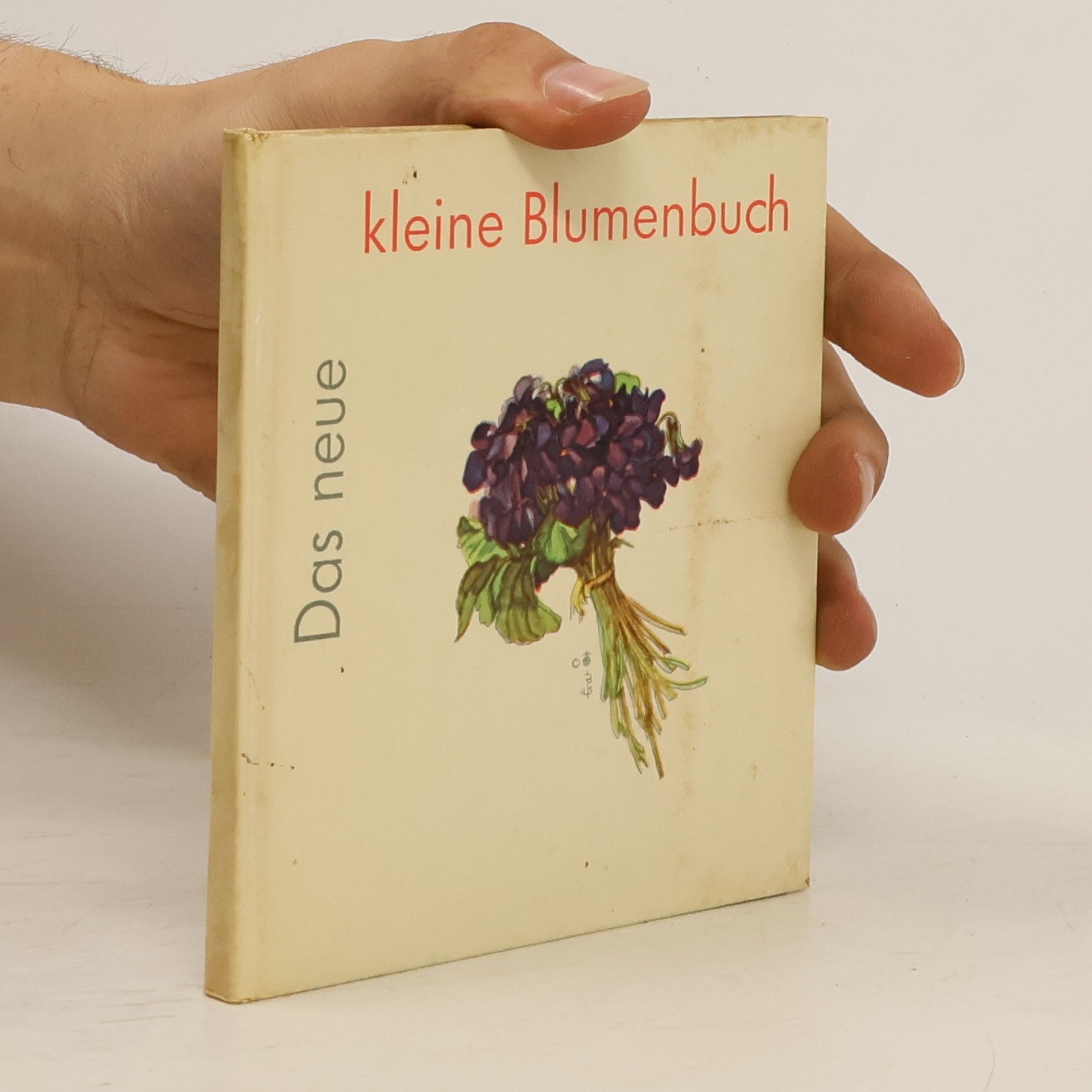 AA.VV. Das neue kleine Blumenbuch