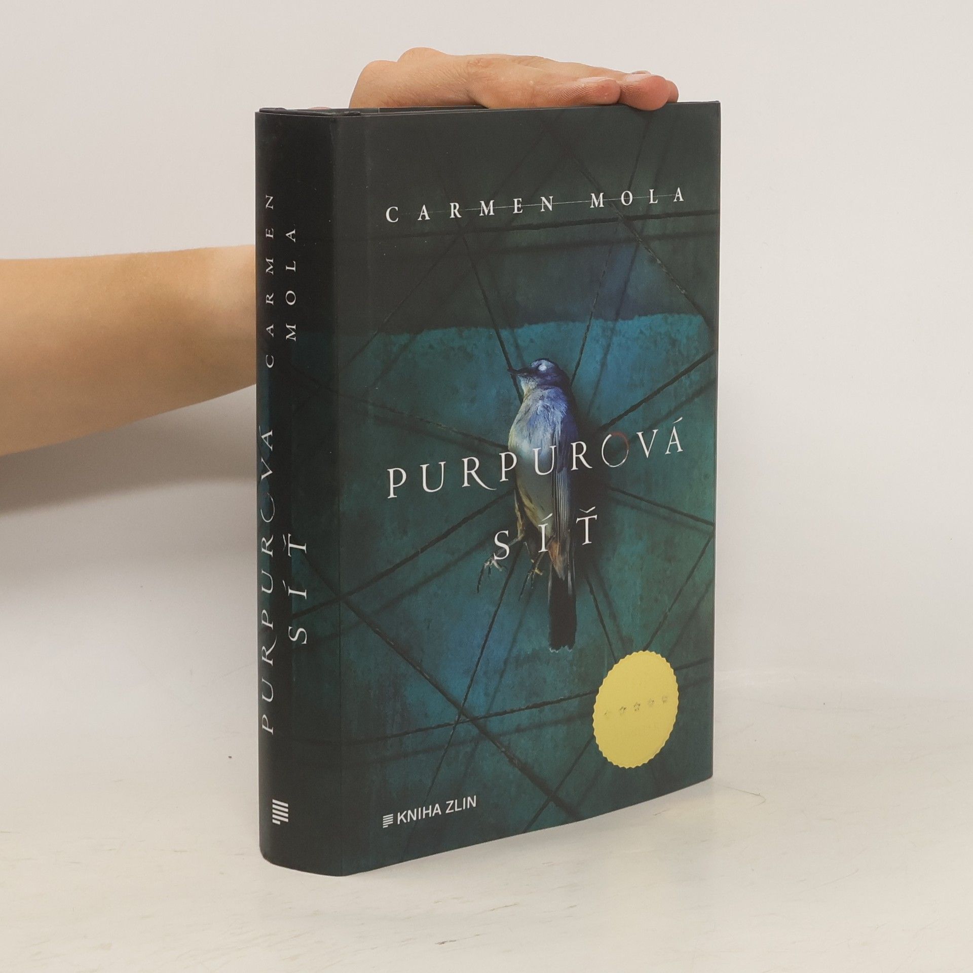 Anna Melicharová Purpurová síť