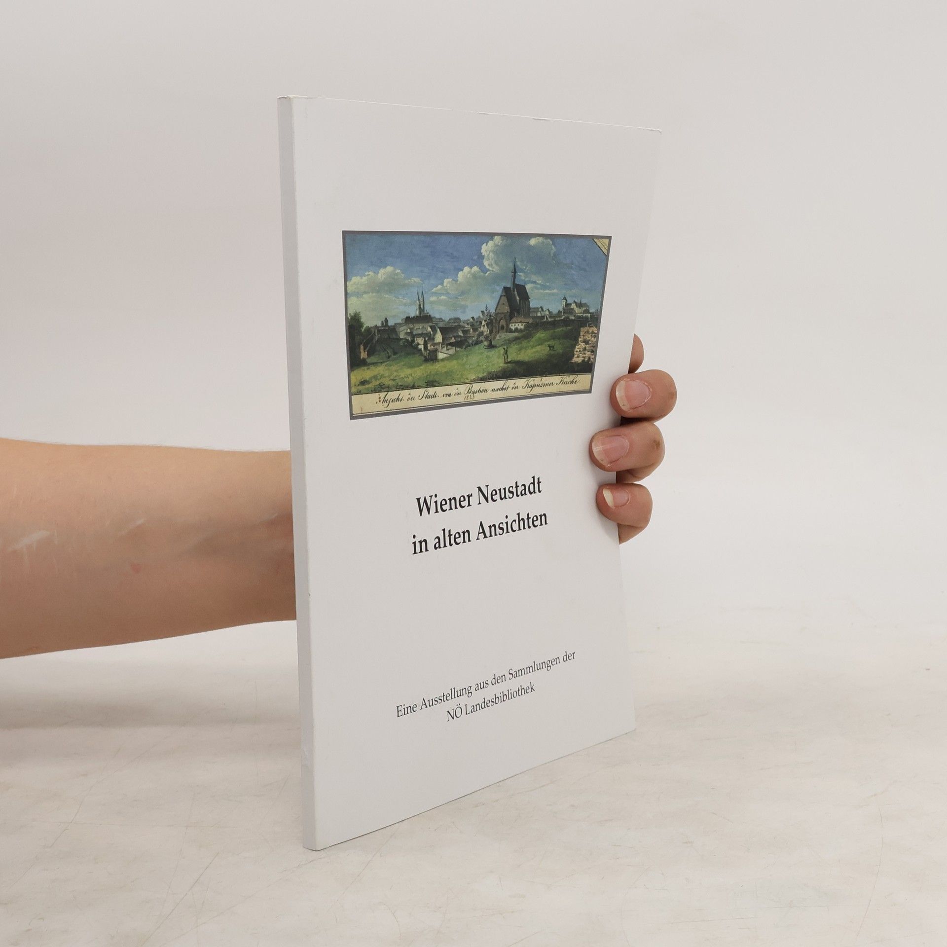 Collectif d'auteurs Wiener Neustadt in alten Ansichten