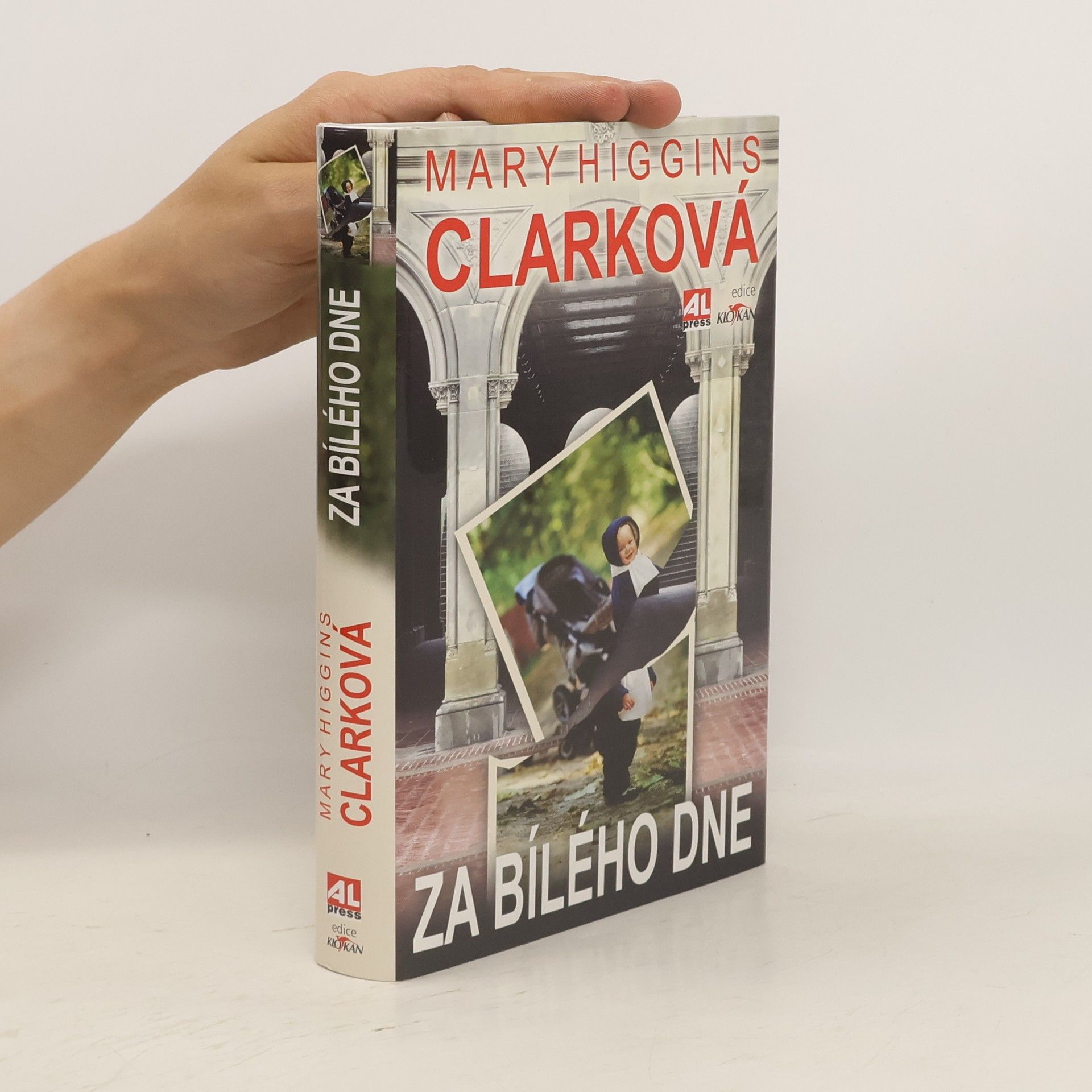 Mary Higgins Clark Za bílého dne