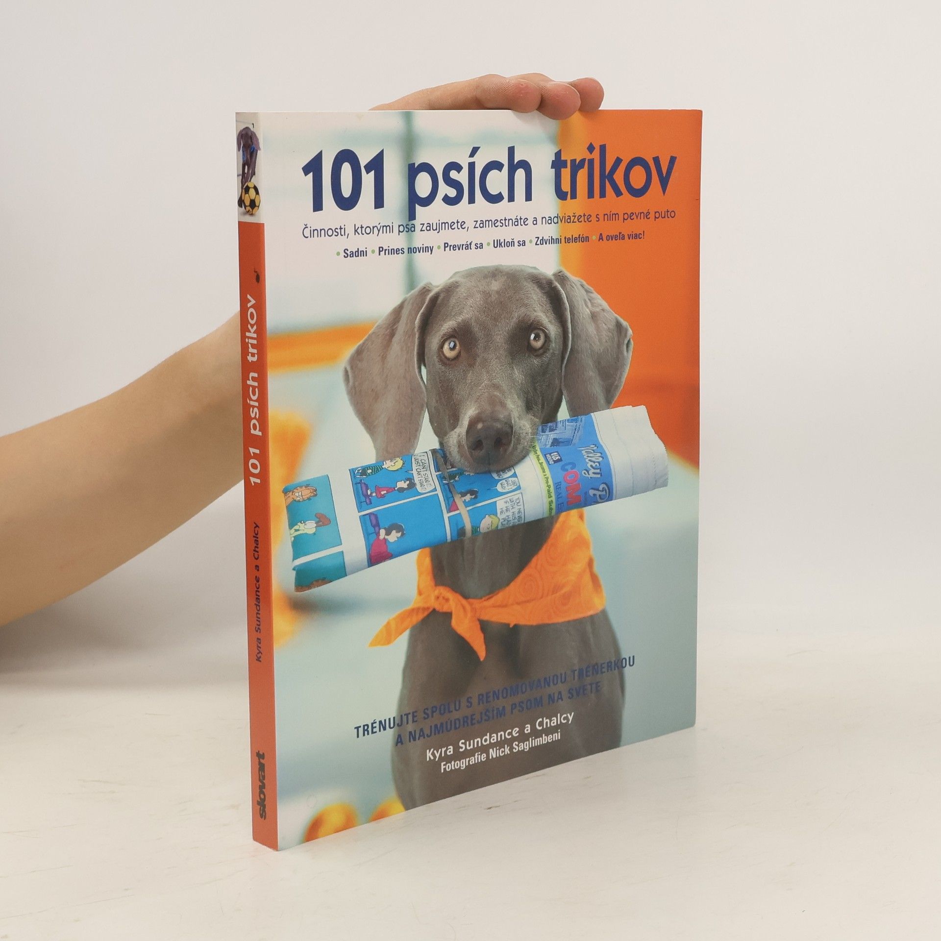Kyra Sundance 101 psích trikov