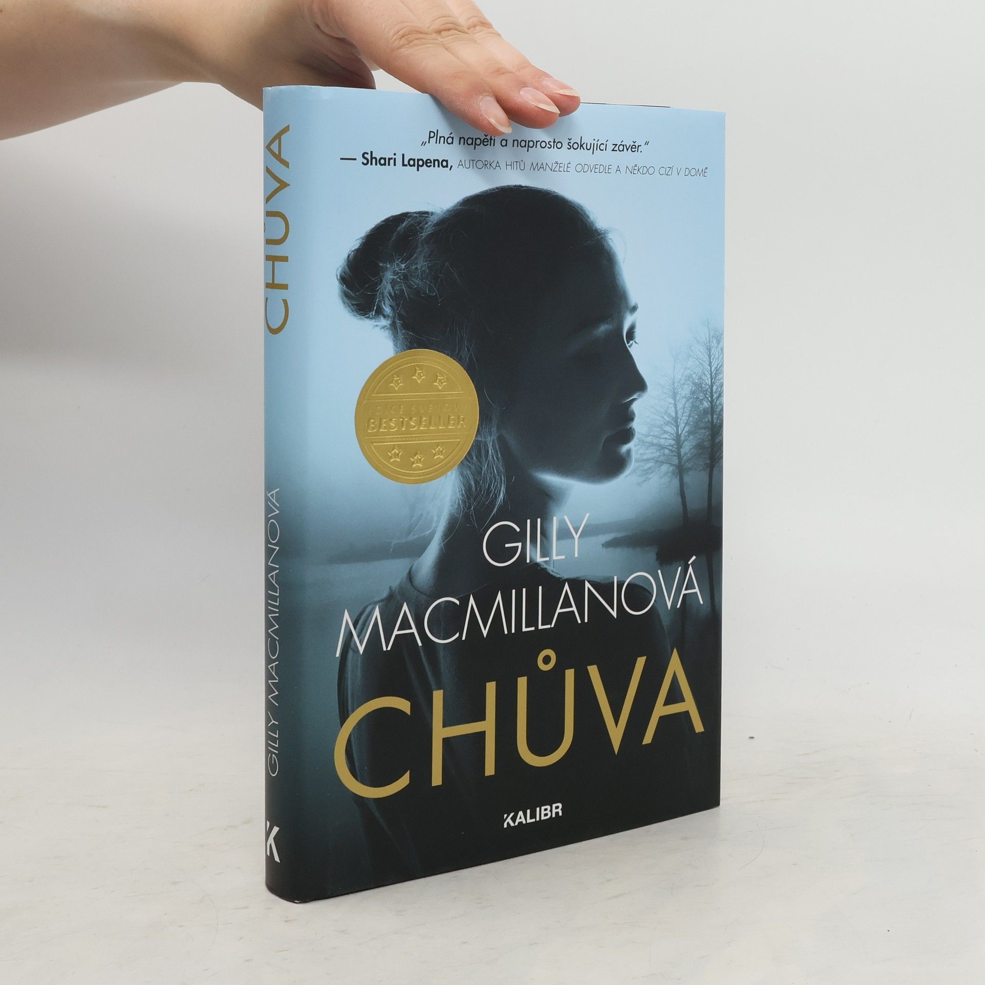 Gilly Macmillan Chůva