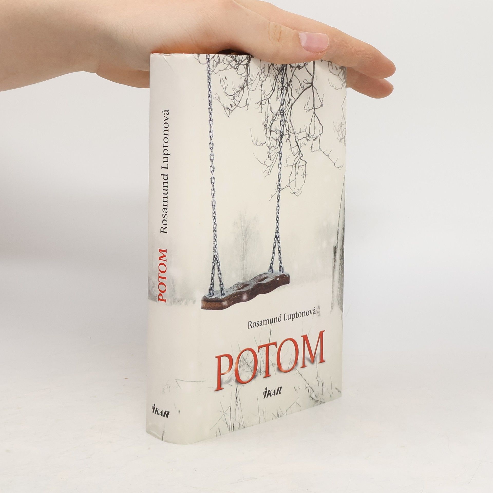 Rosamund Lupton Potom