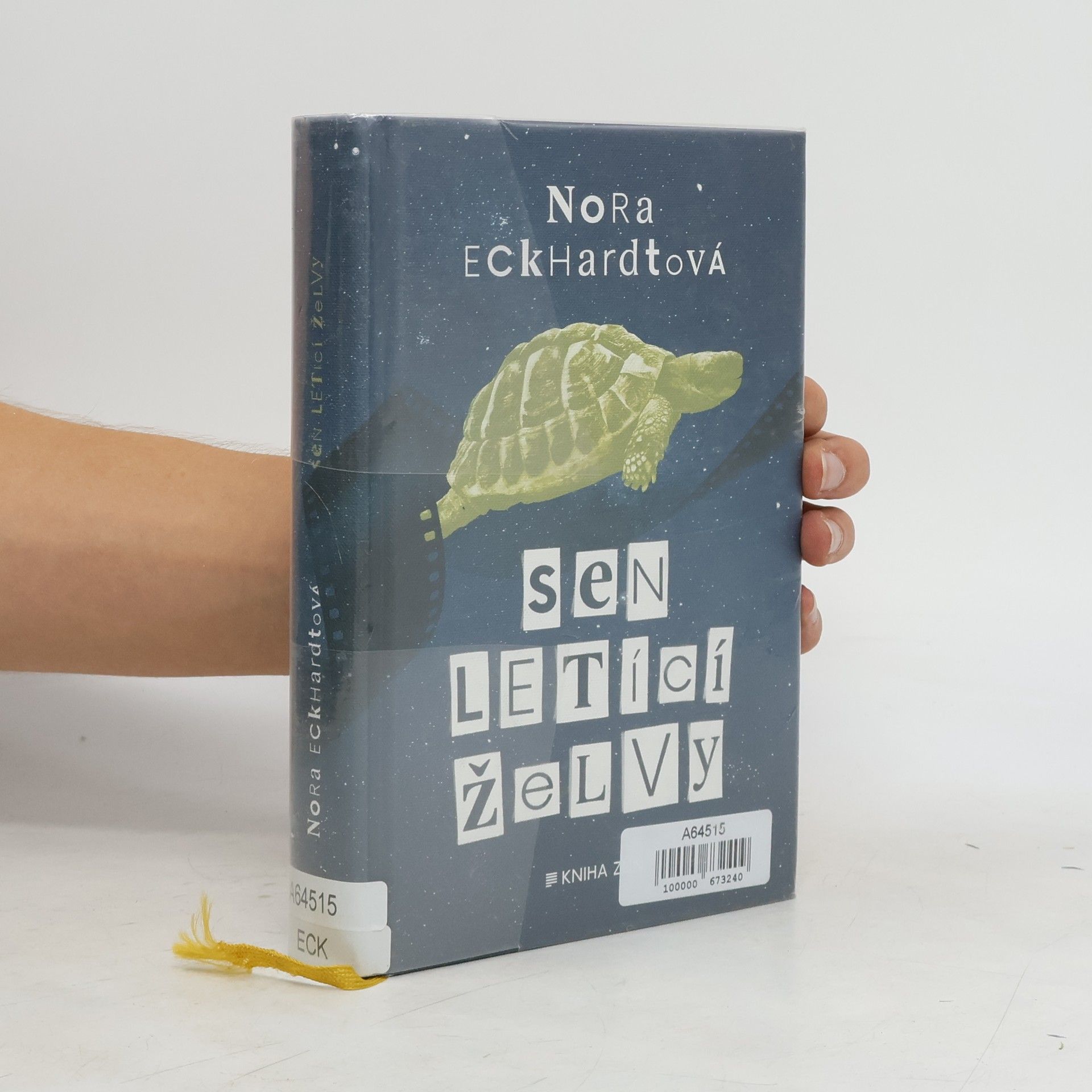 Nora Eckhardtová Sen letící želvy