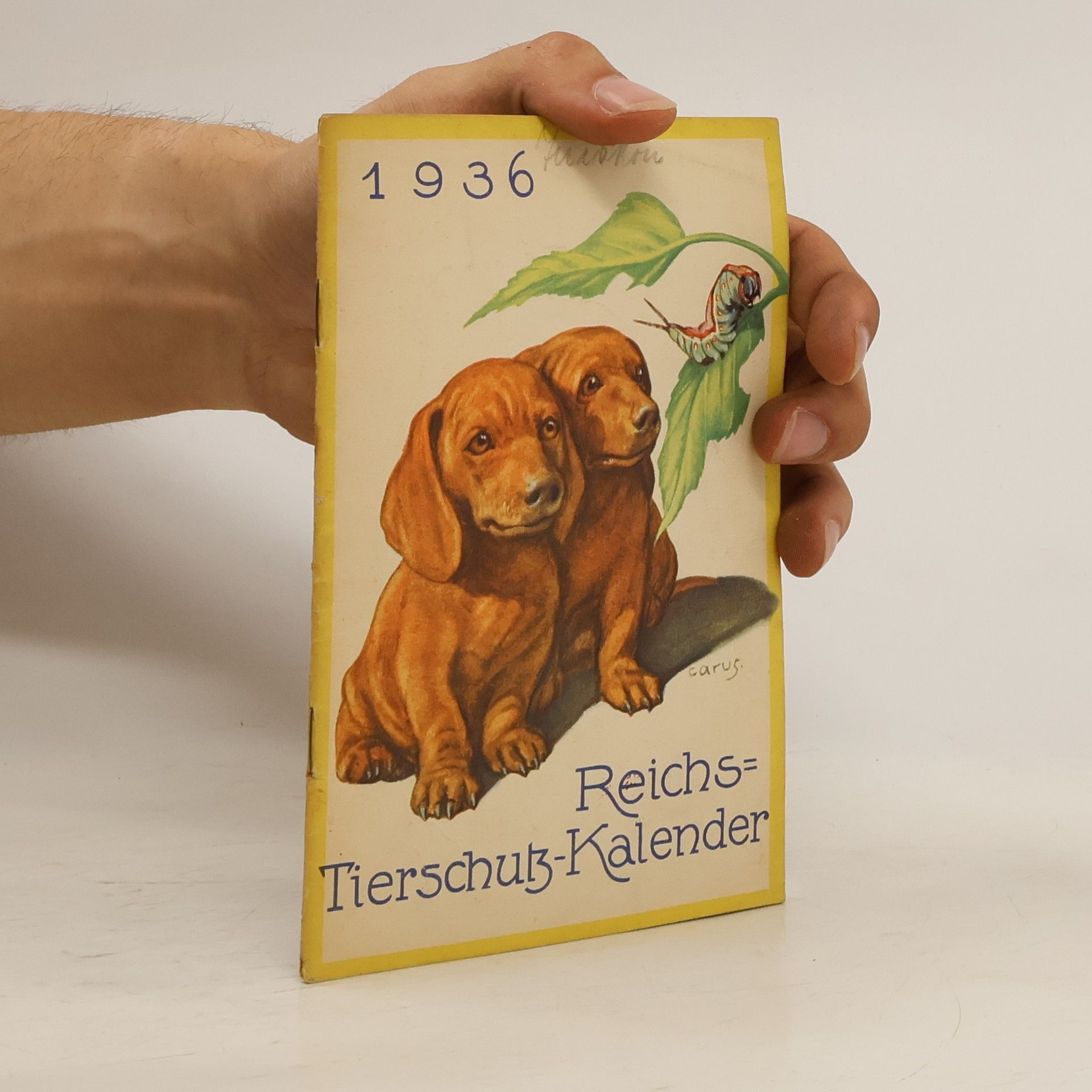 Autorenkollektiv Reichs-Tierschutz-Kalender 1936. Ausgabe A