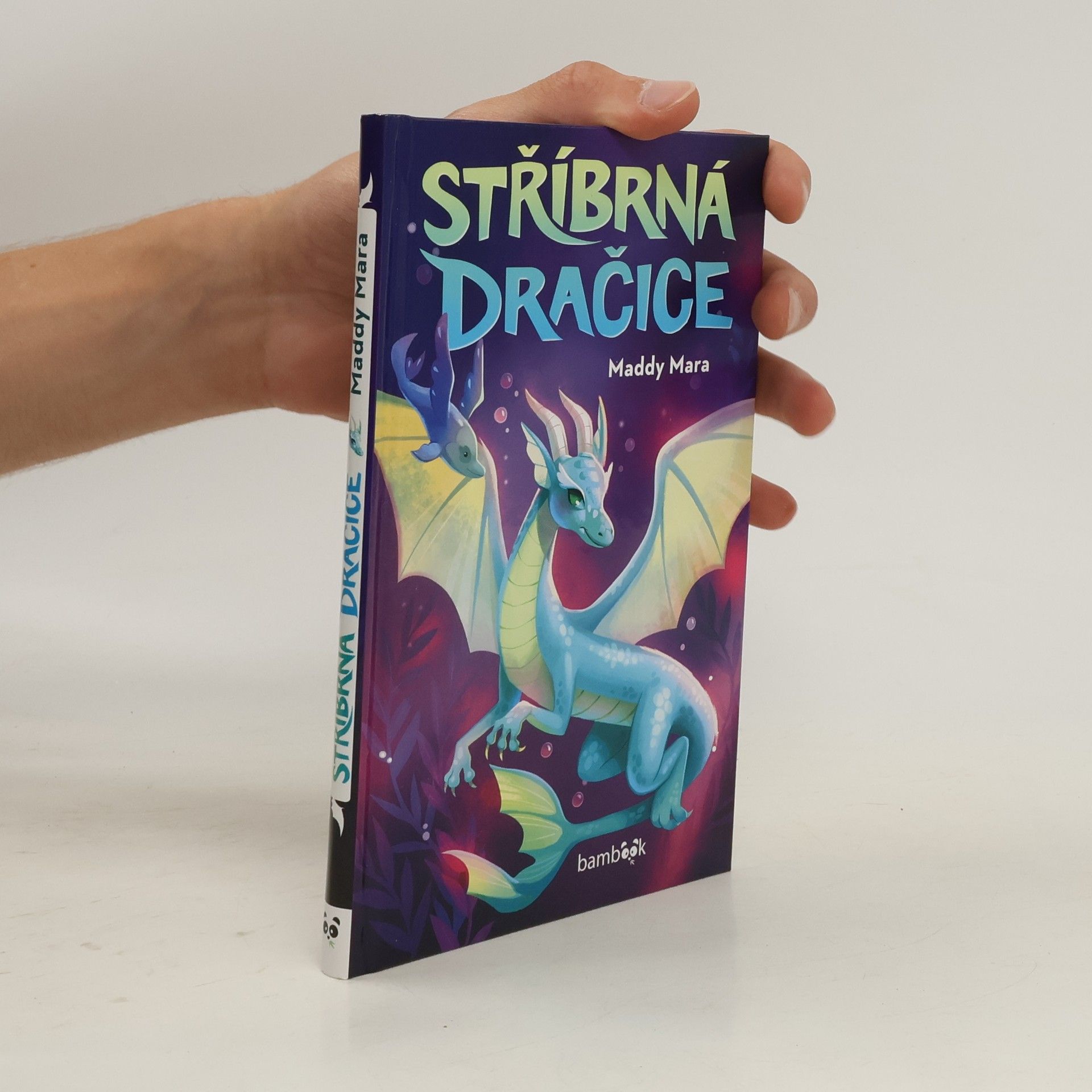 Maddy Mara Stříbrná dračice