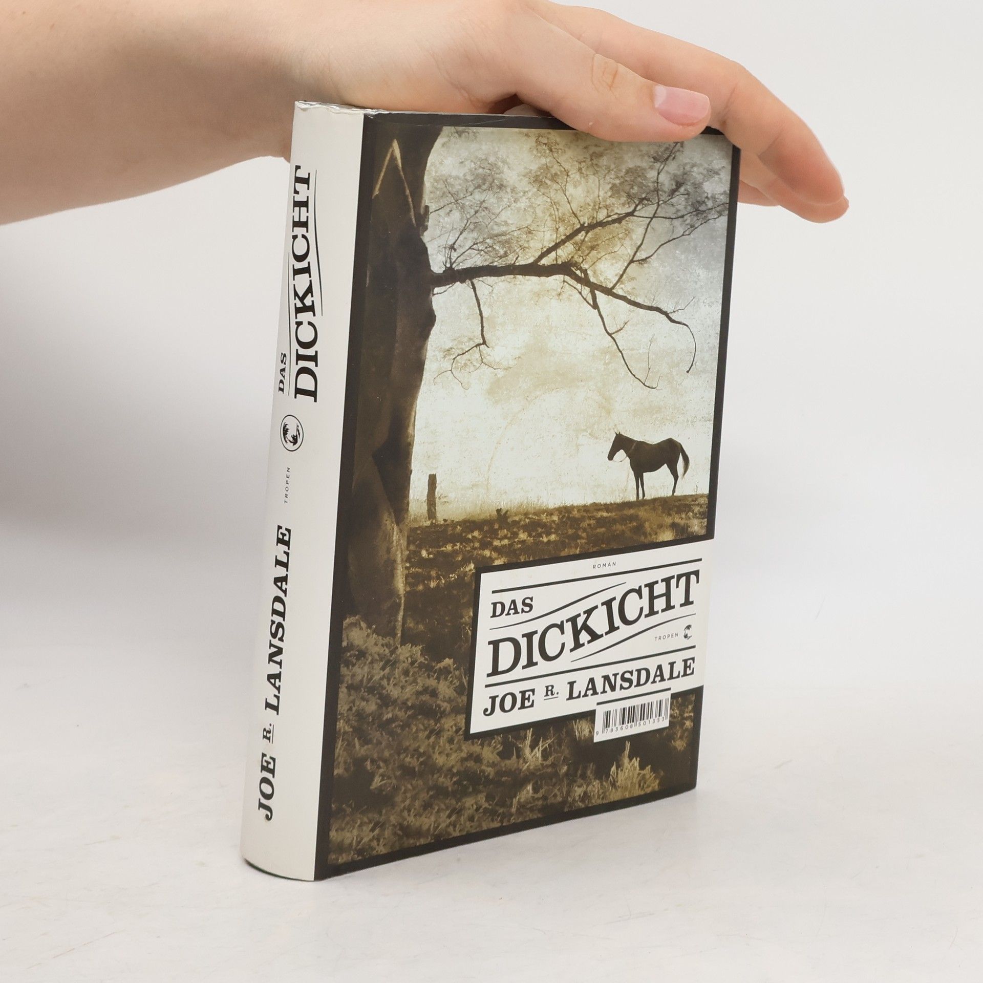 Joe R. Lansdale Das Dickicht