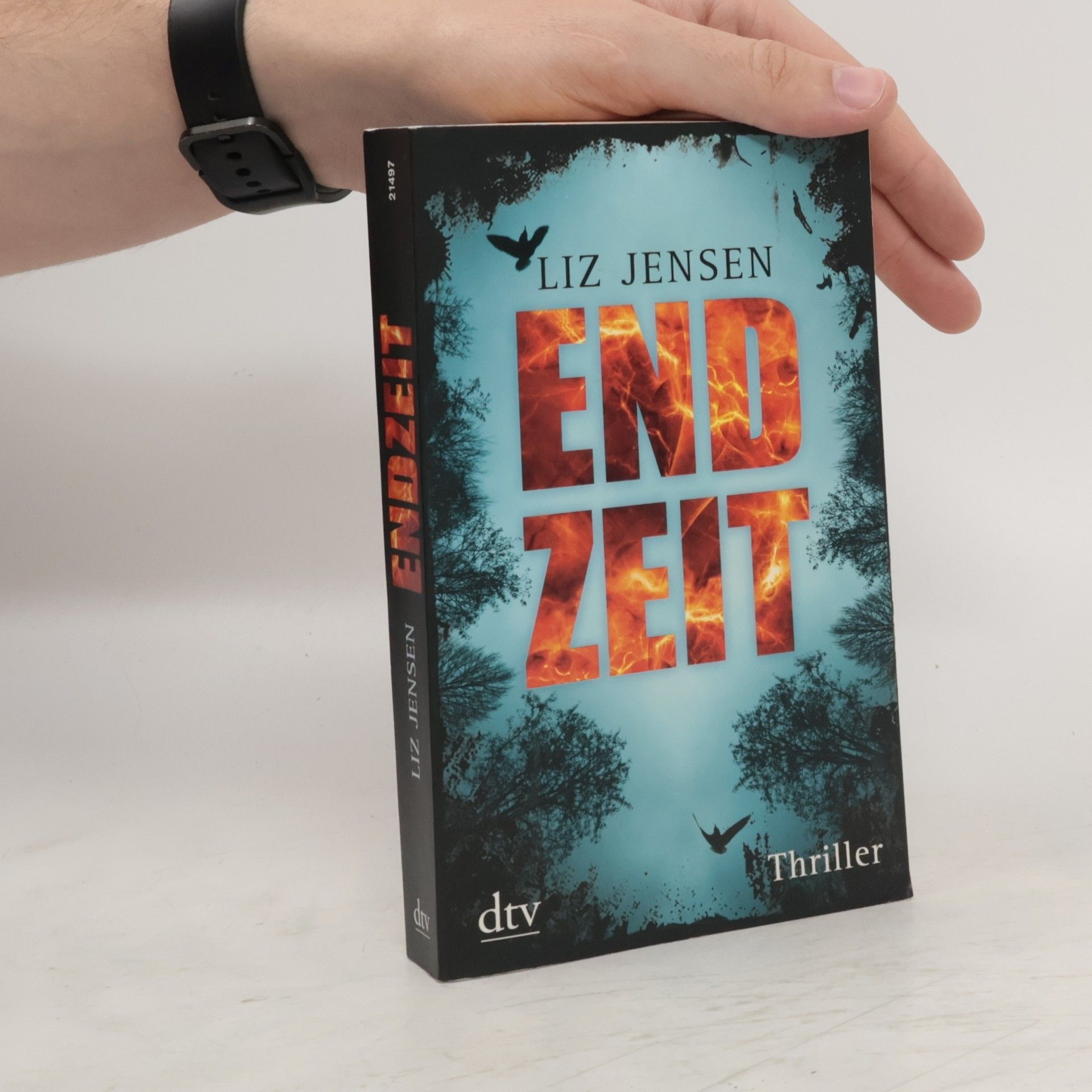 Liz Jensen Endzeit