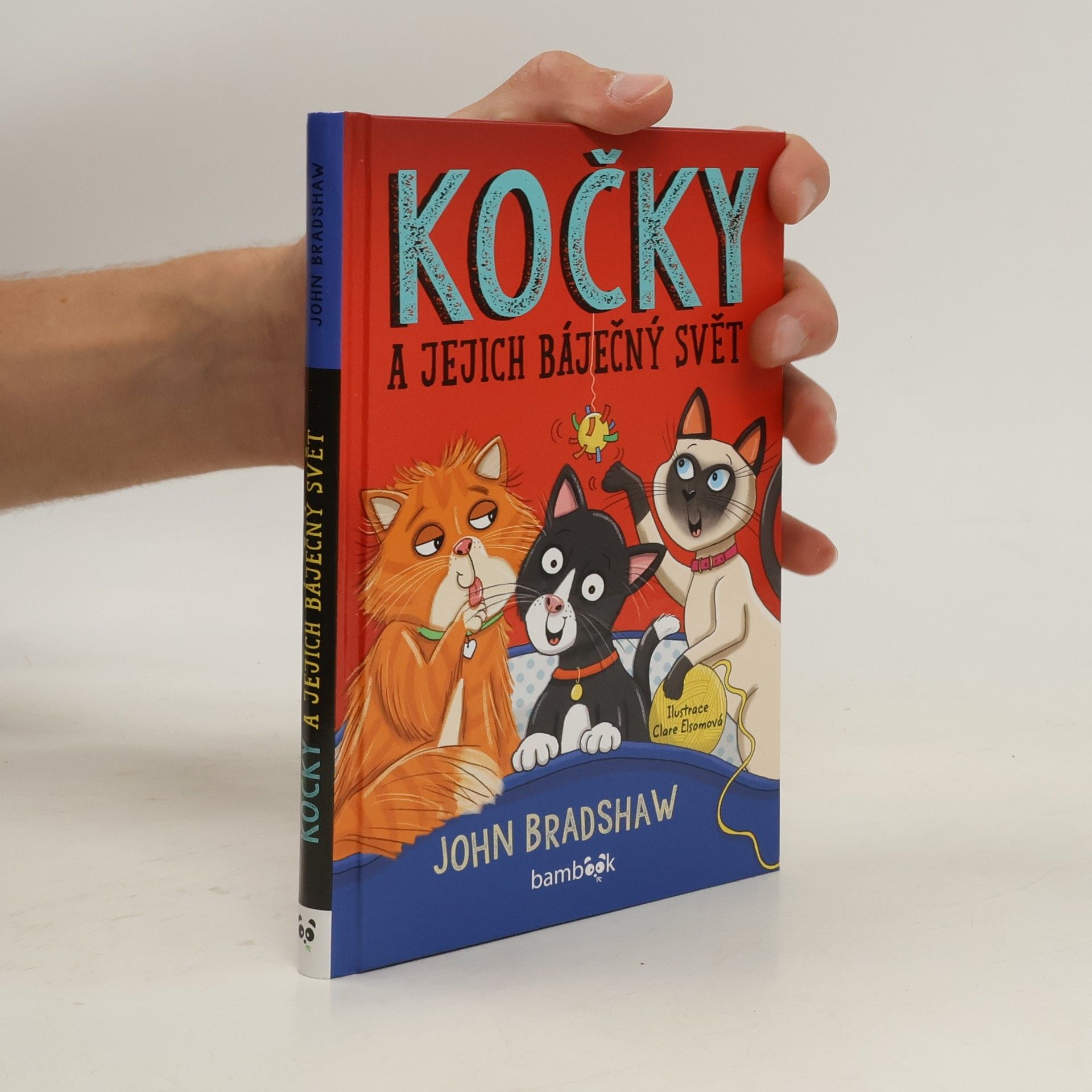 John Bradshaw Kočky a jejich báječný svět