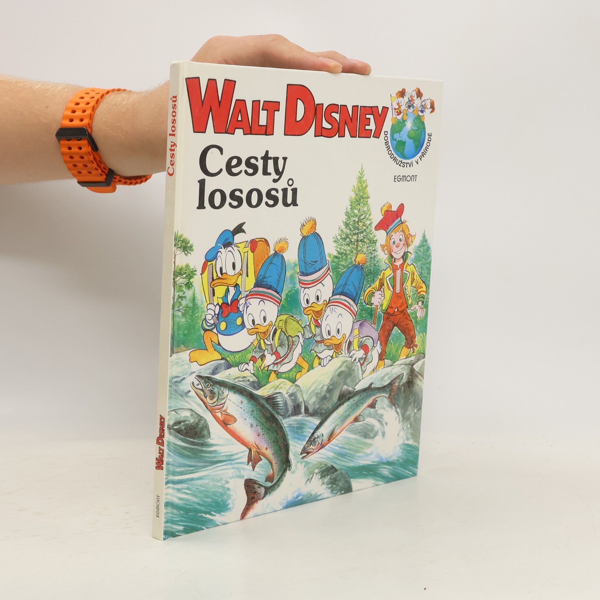 Walt Disney Cesty lososů