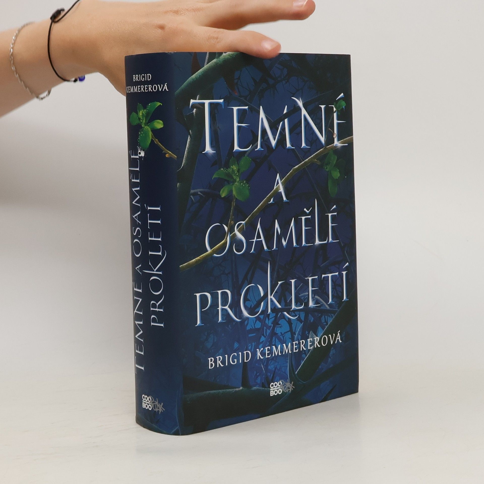 Brigid Kemmerer Temné a osamělé prokletí