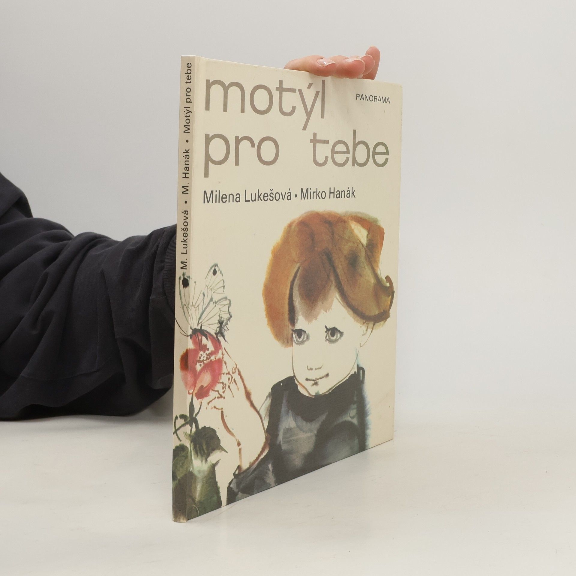 Mirko Hanák Motýl pro tebe