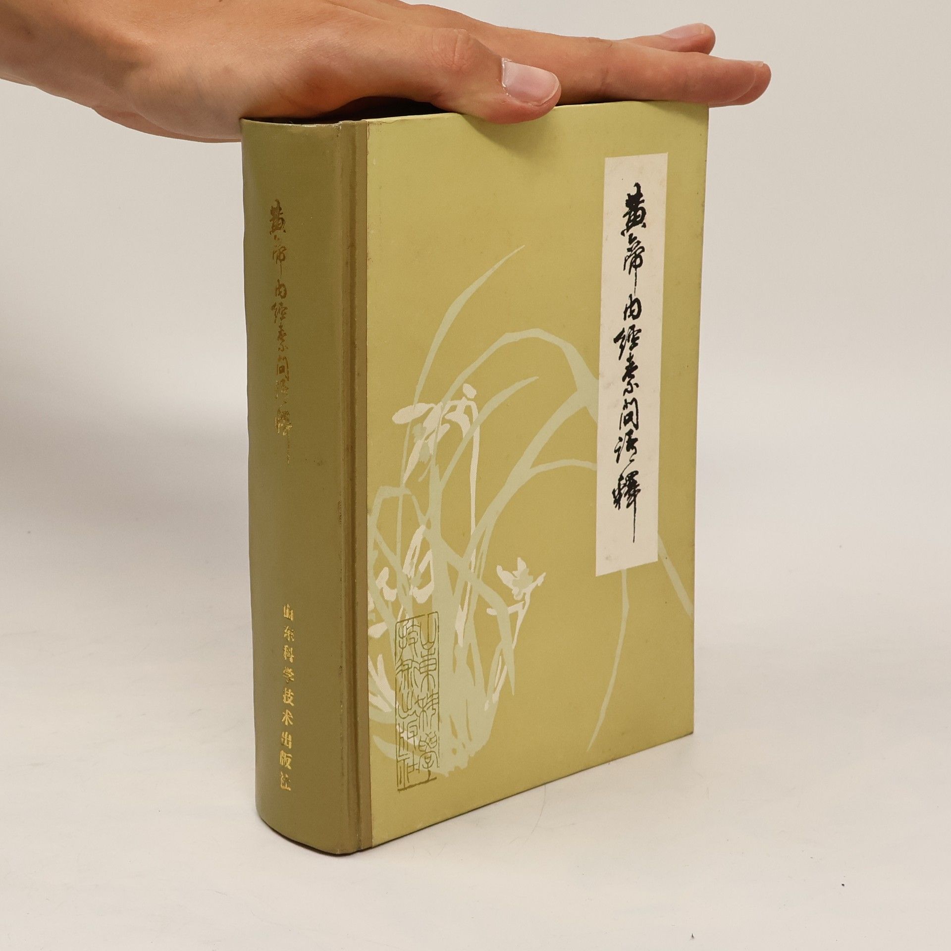 Zhou Fengwu 黄帝内经素问经释