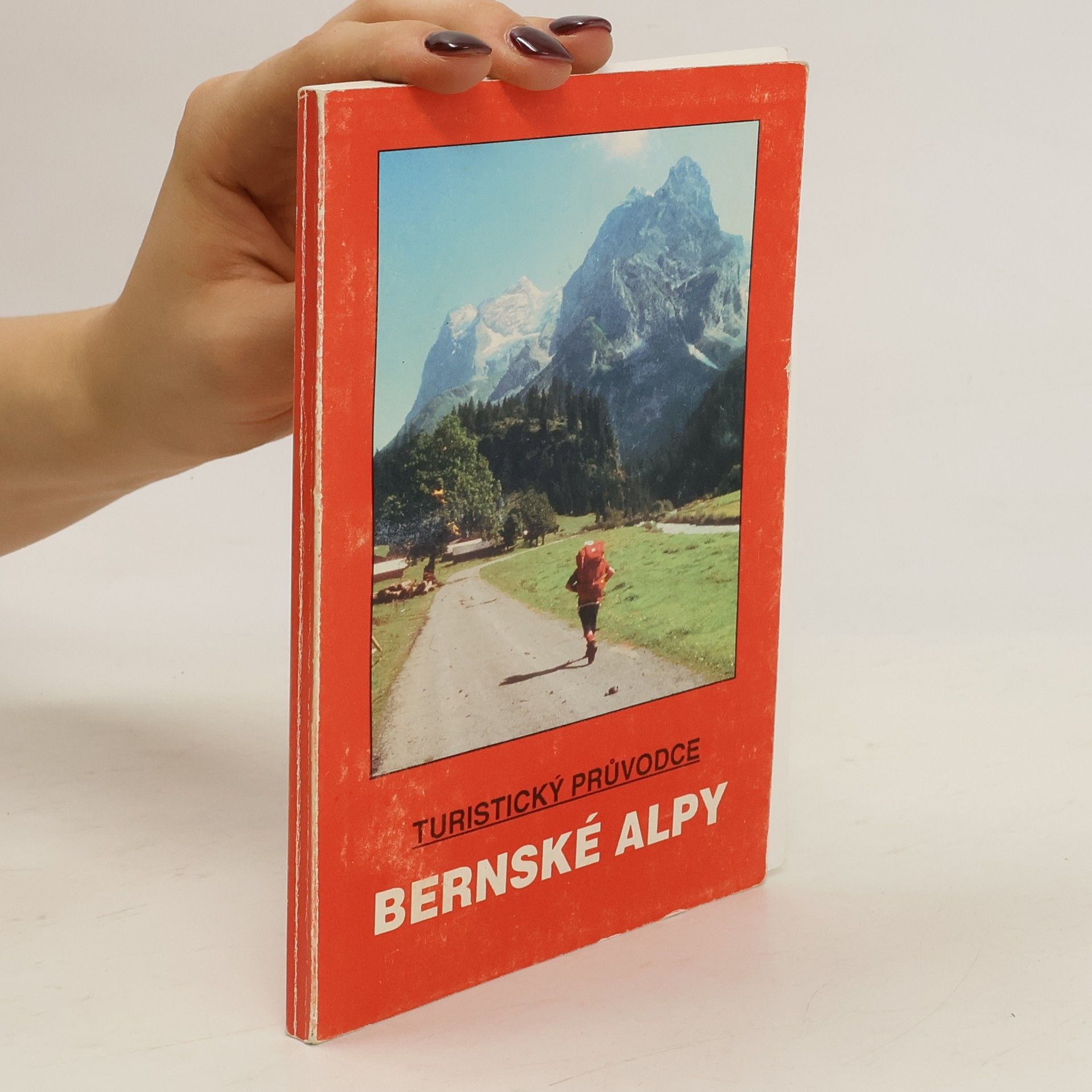 Ivo Hejl Bernské Alpy. Švýcarsko