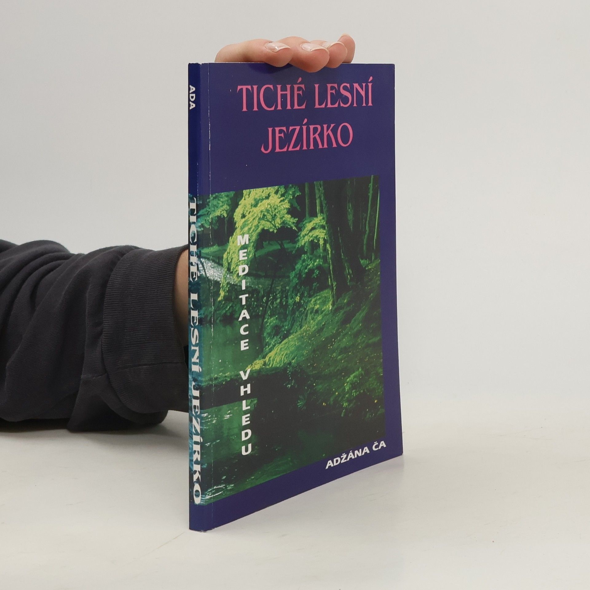 Adžán Čá Tiché lesní jezírko. Meditace vhledu učitele Adžána Ča