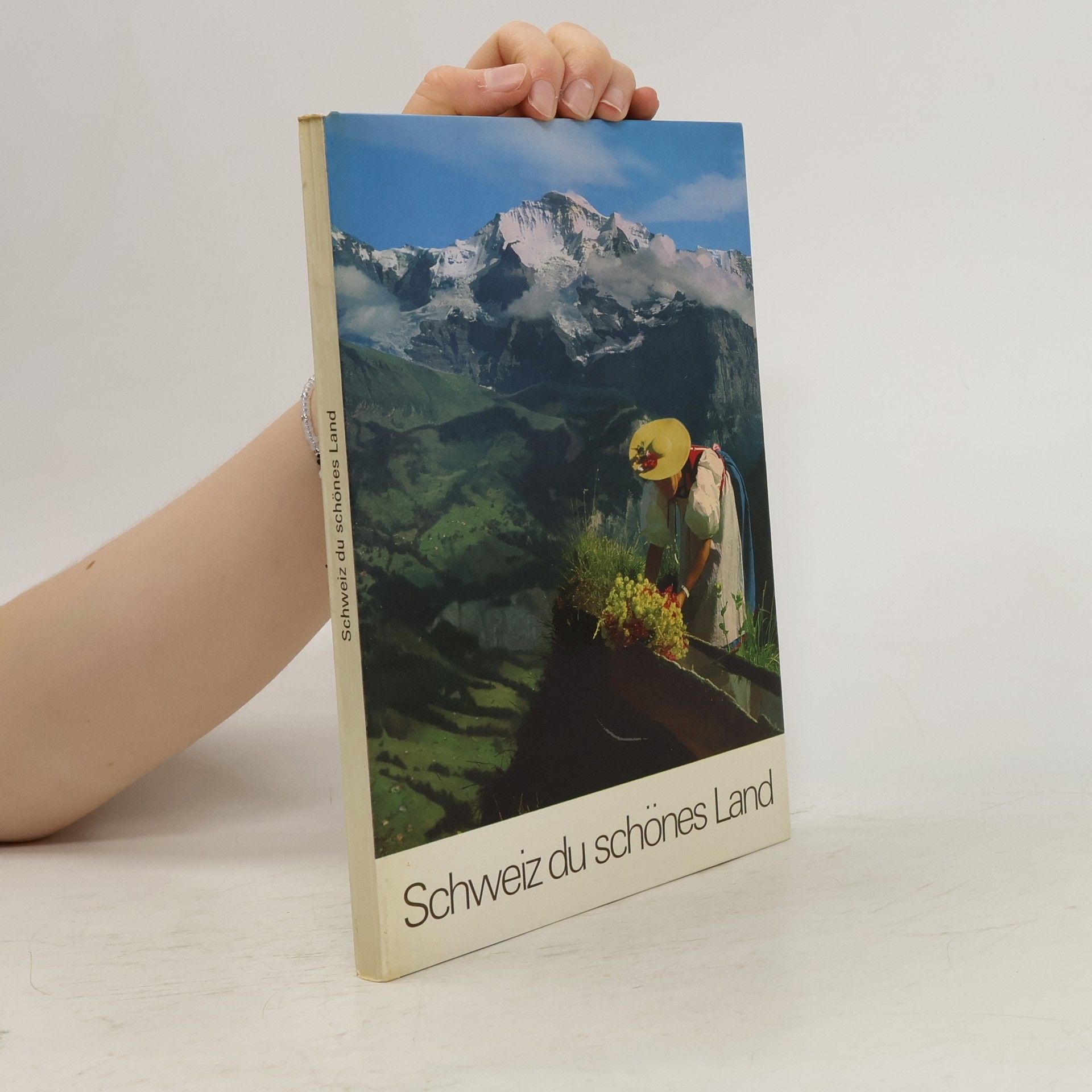 Autorenkollektiv Schweiz du schönes Land