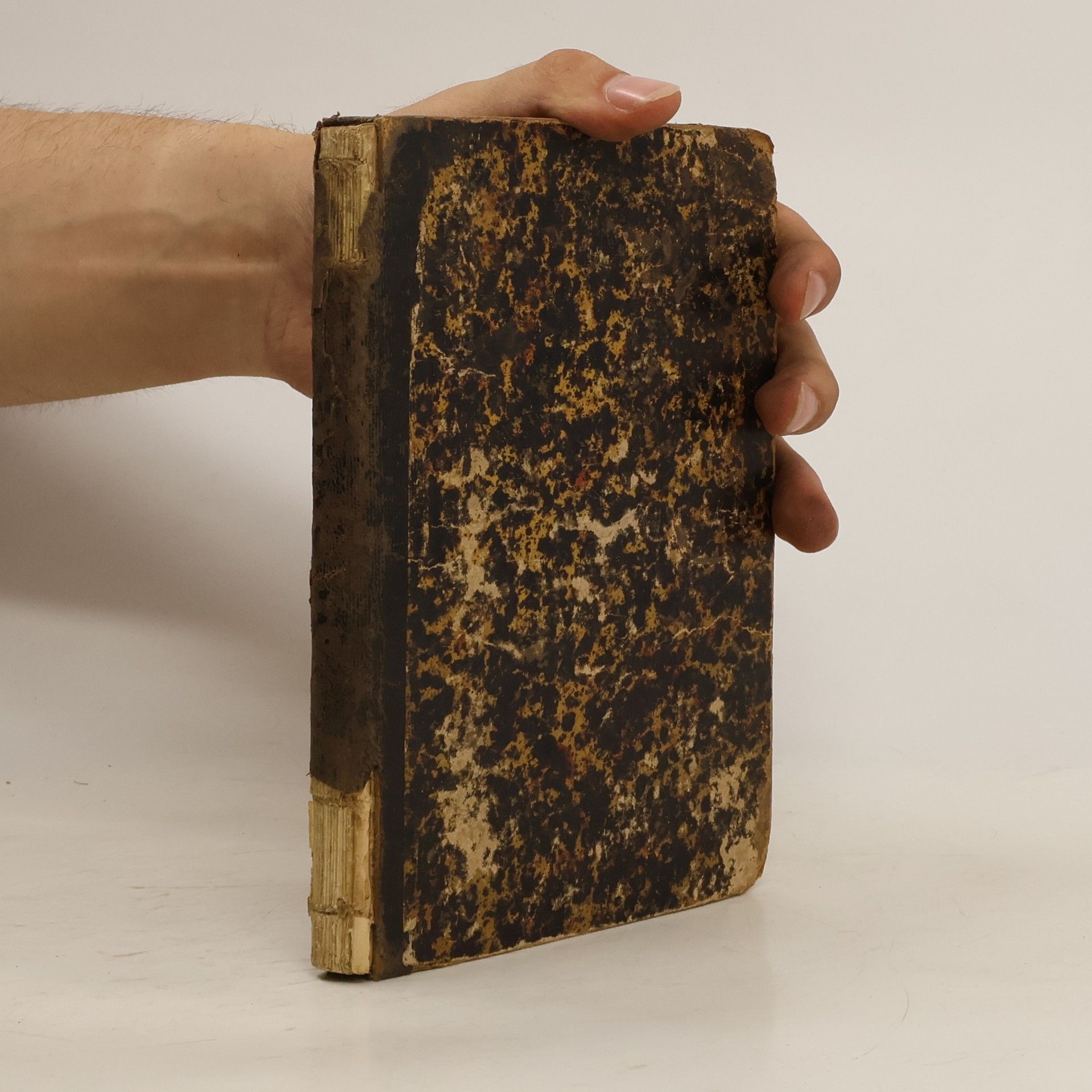 Englischen Sprache I.