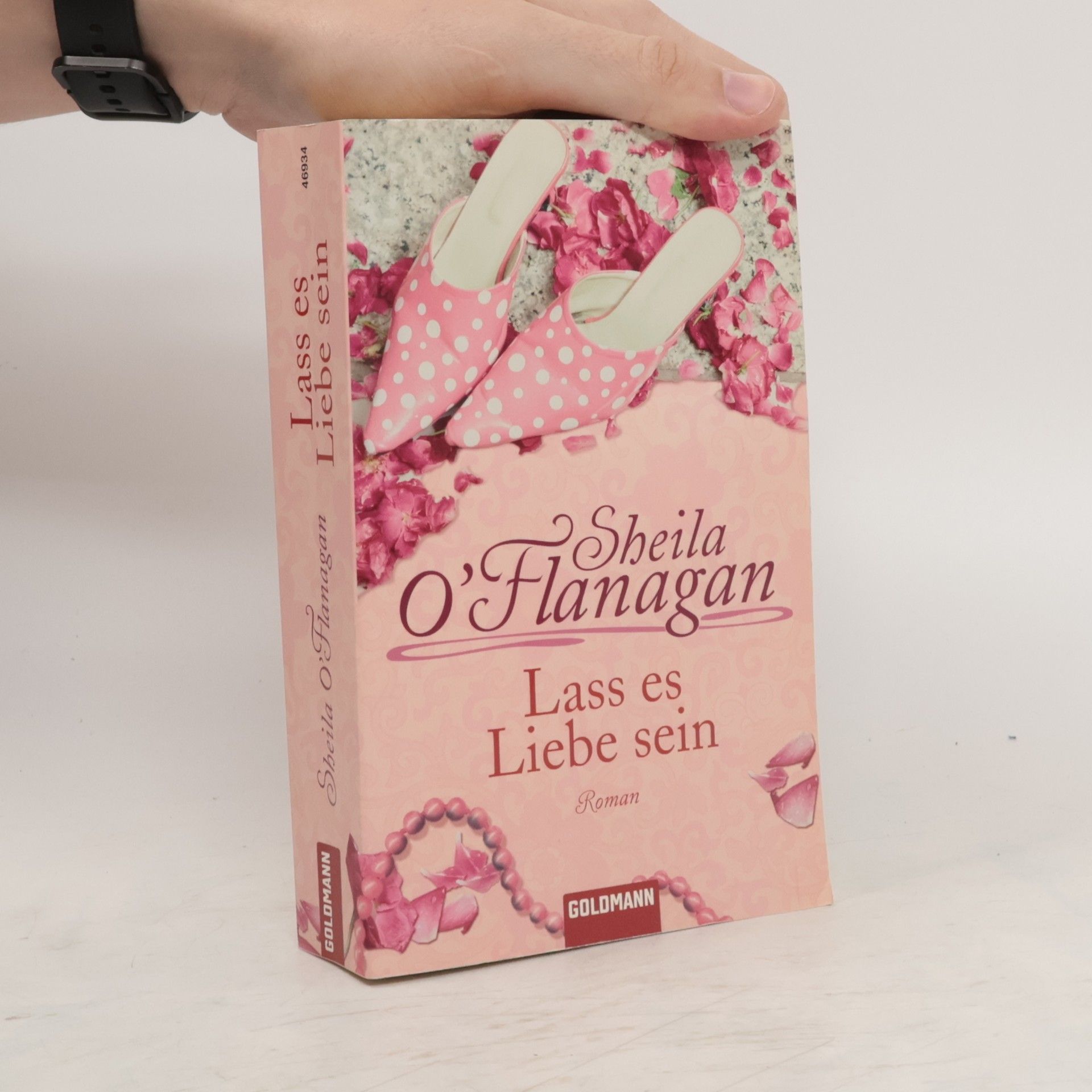 Sheila O’Flanagan Lass es Liebe sein. Roman