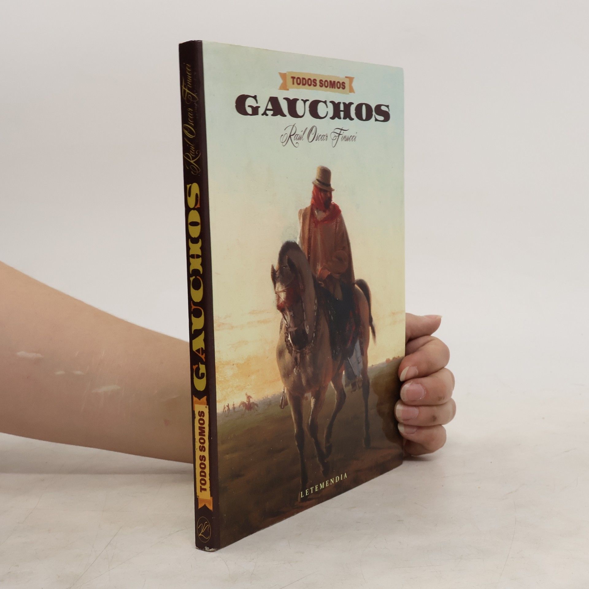 Raúl Oscar Finucci Todos somos gauchos