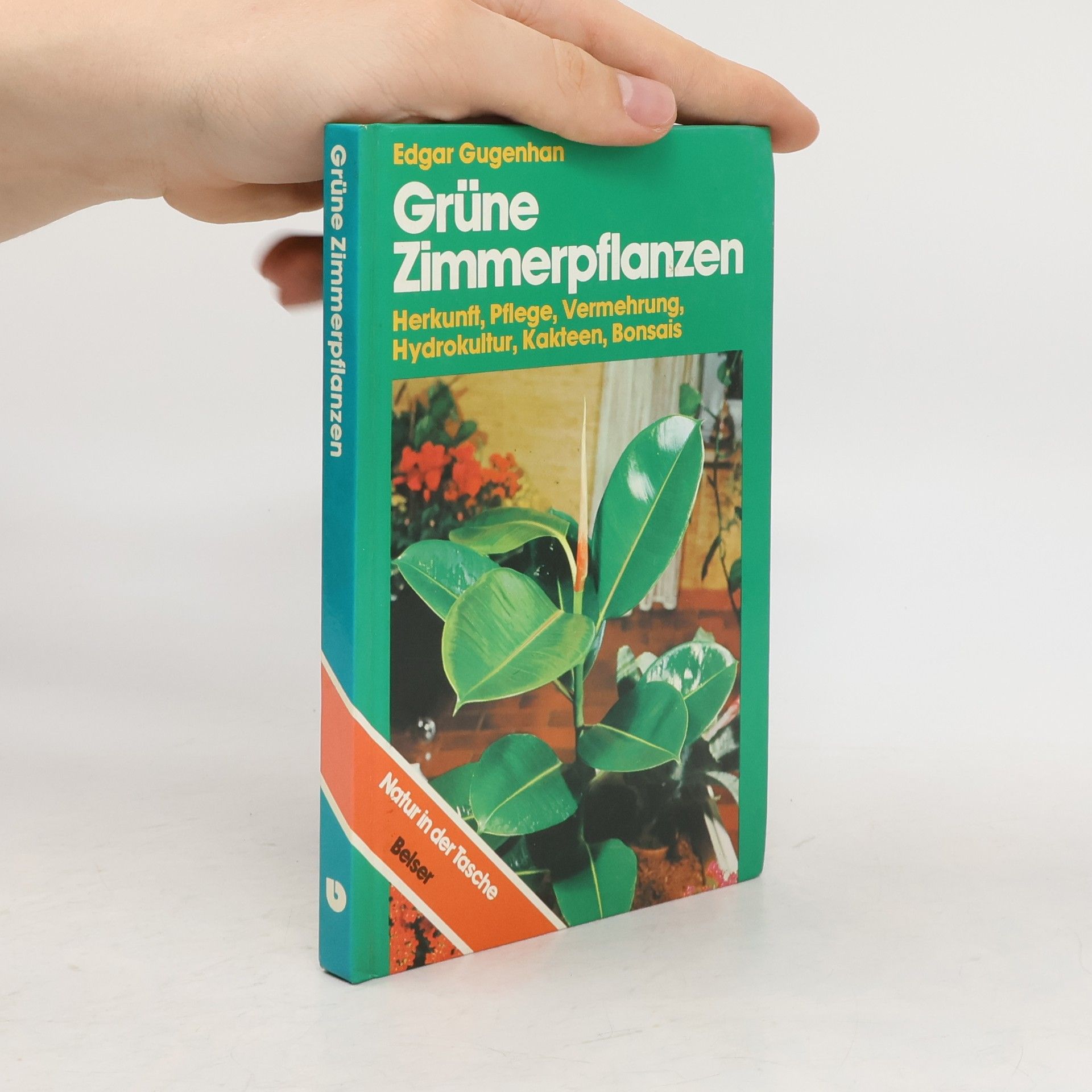 Edgar Gugenhan Grüne Zimmerpflanzen