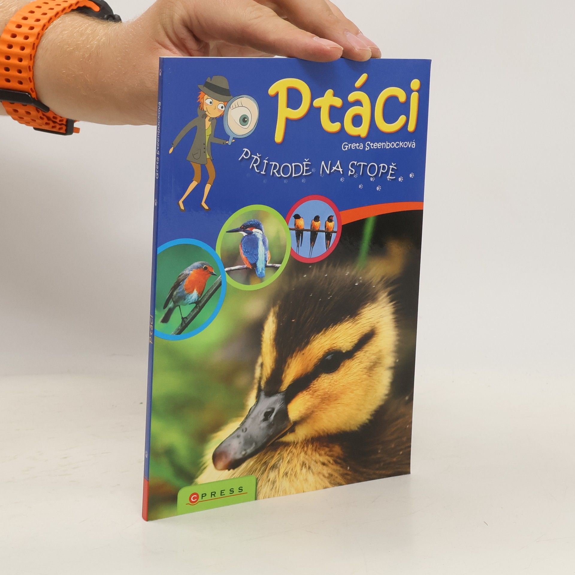 Greta Steenbock Ptáci