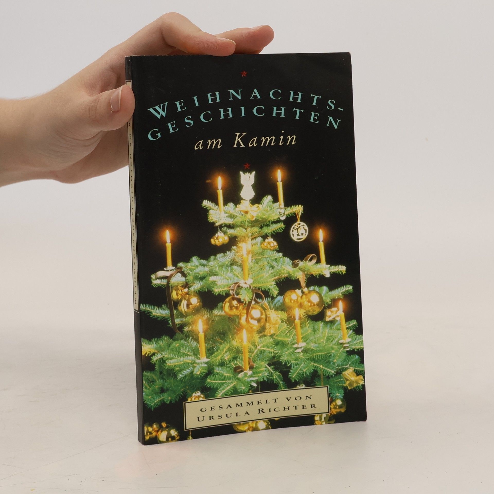 Ursula Richter Weihnachts Geschichten am Kamin