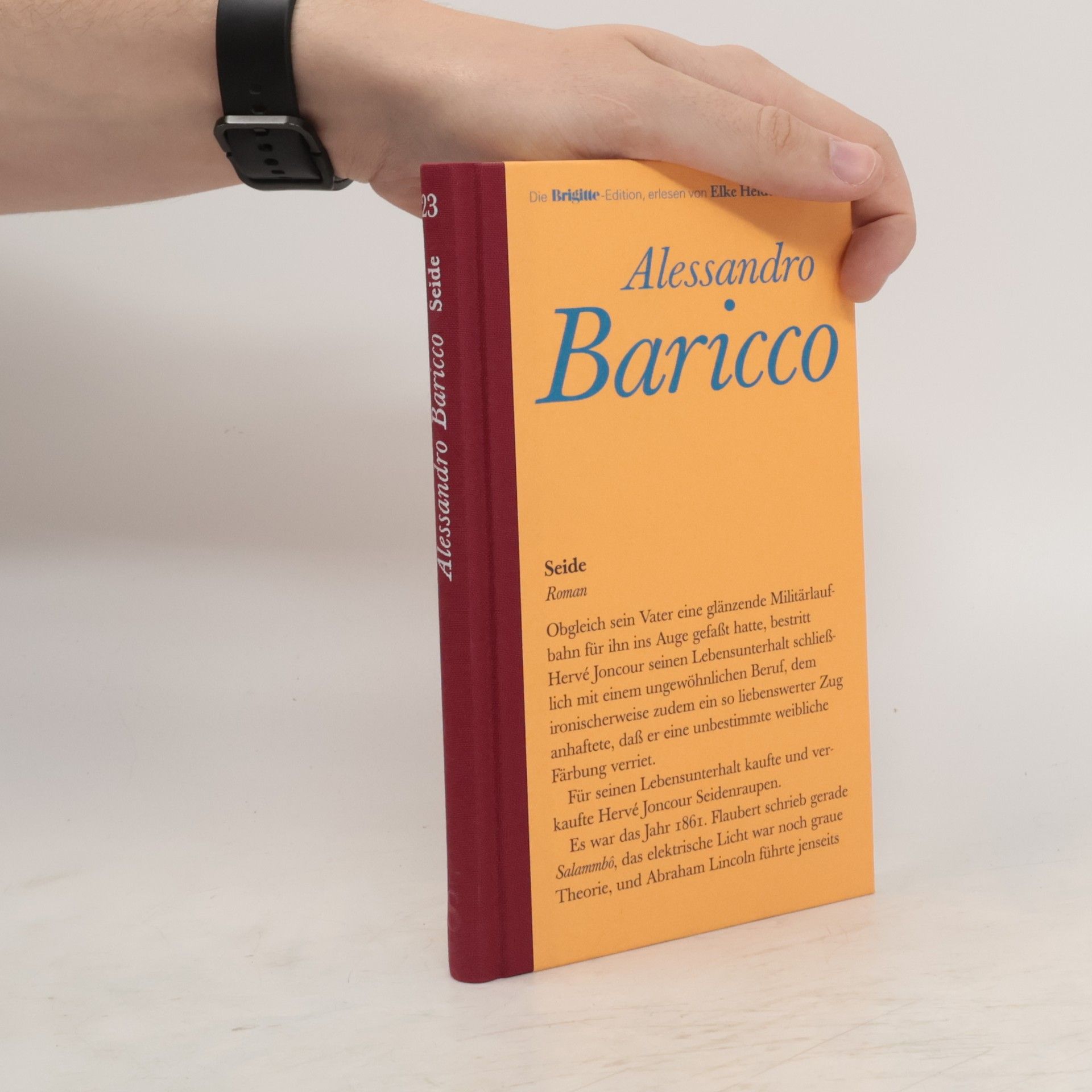 Alessandro Baricco Seide