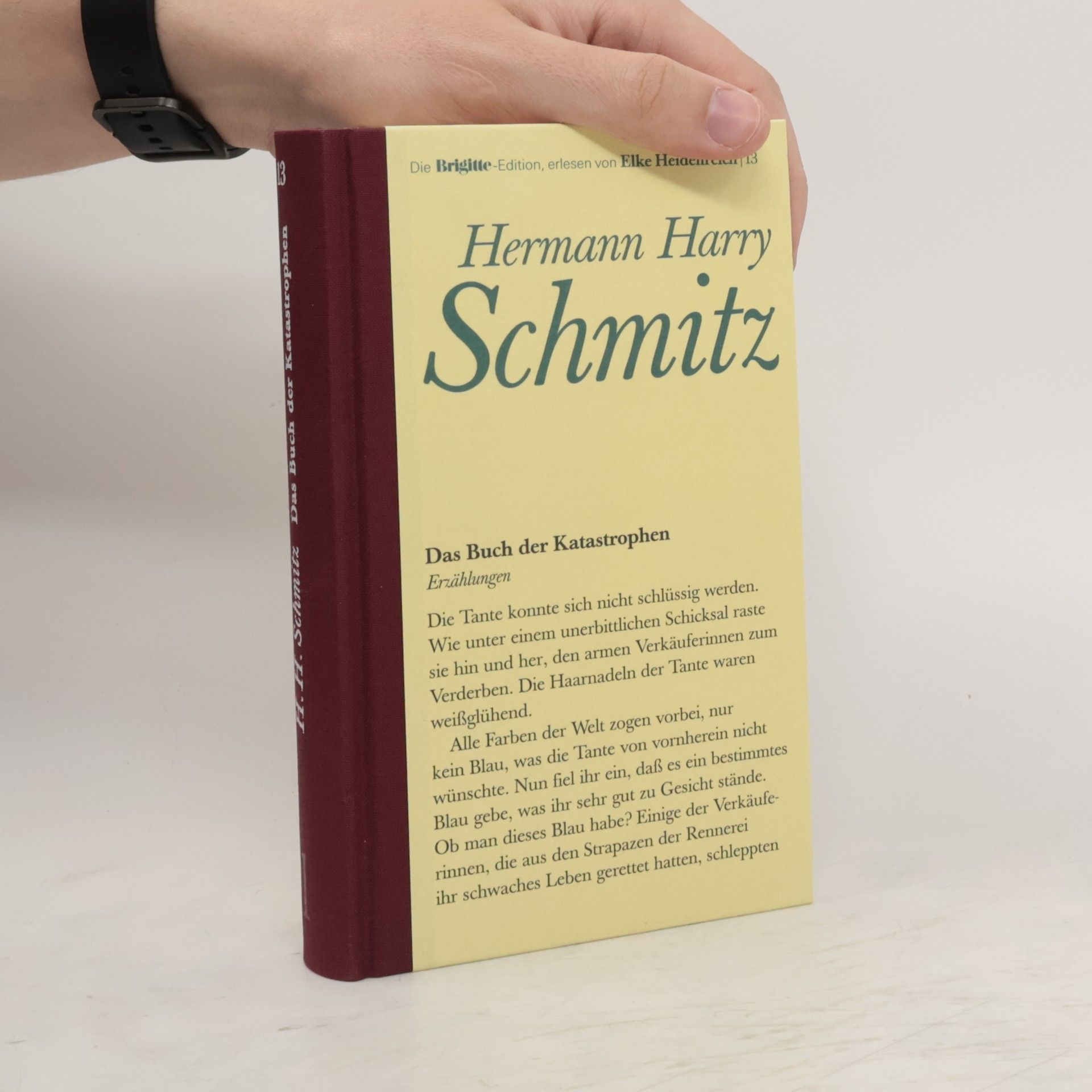Hermann Harry Schmitz Das Buch der Katastrophen