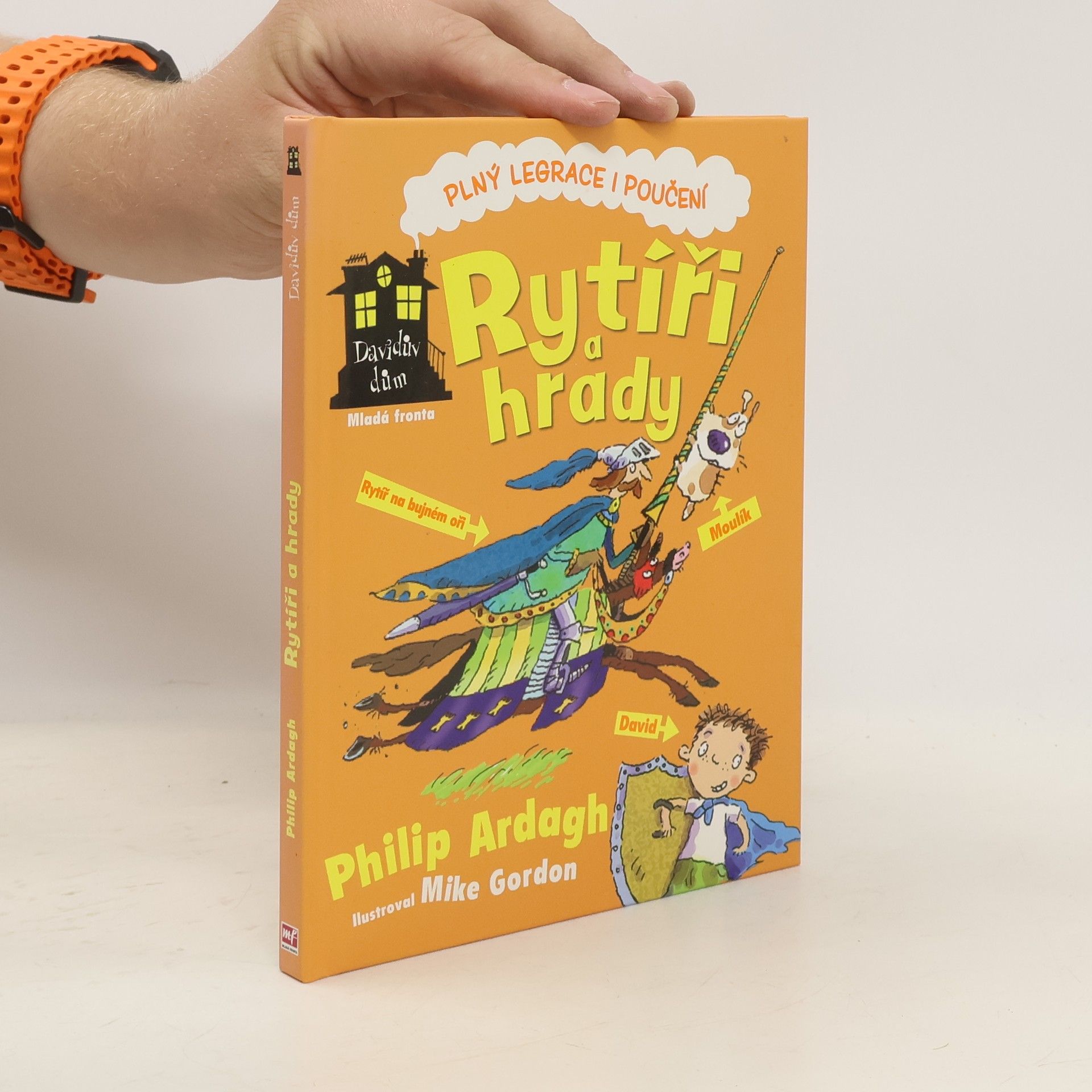 Philip Ardagh Davidův dům. Rytíři a hrady
