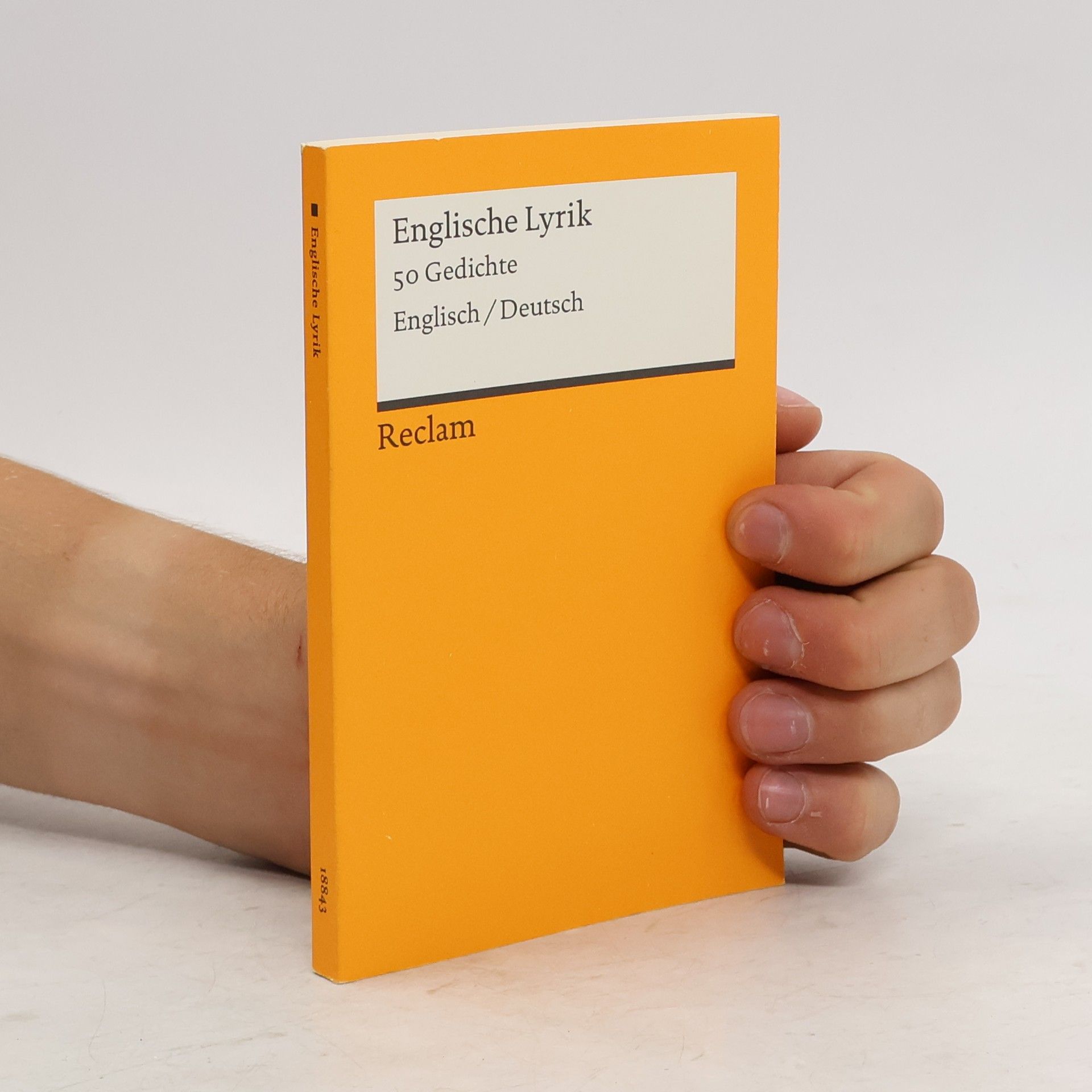 Raimund Borgmeier Englische Lyrik