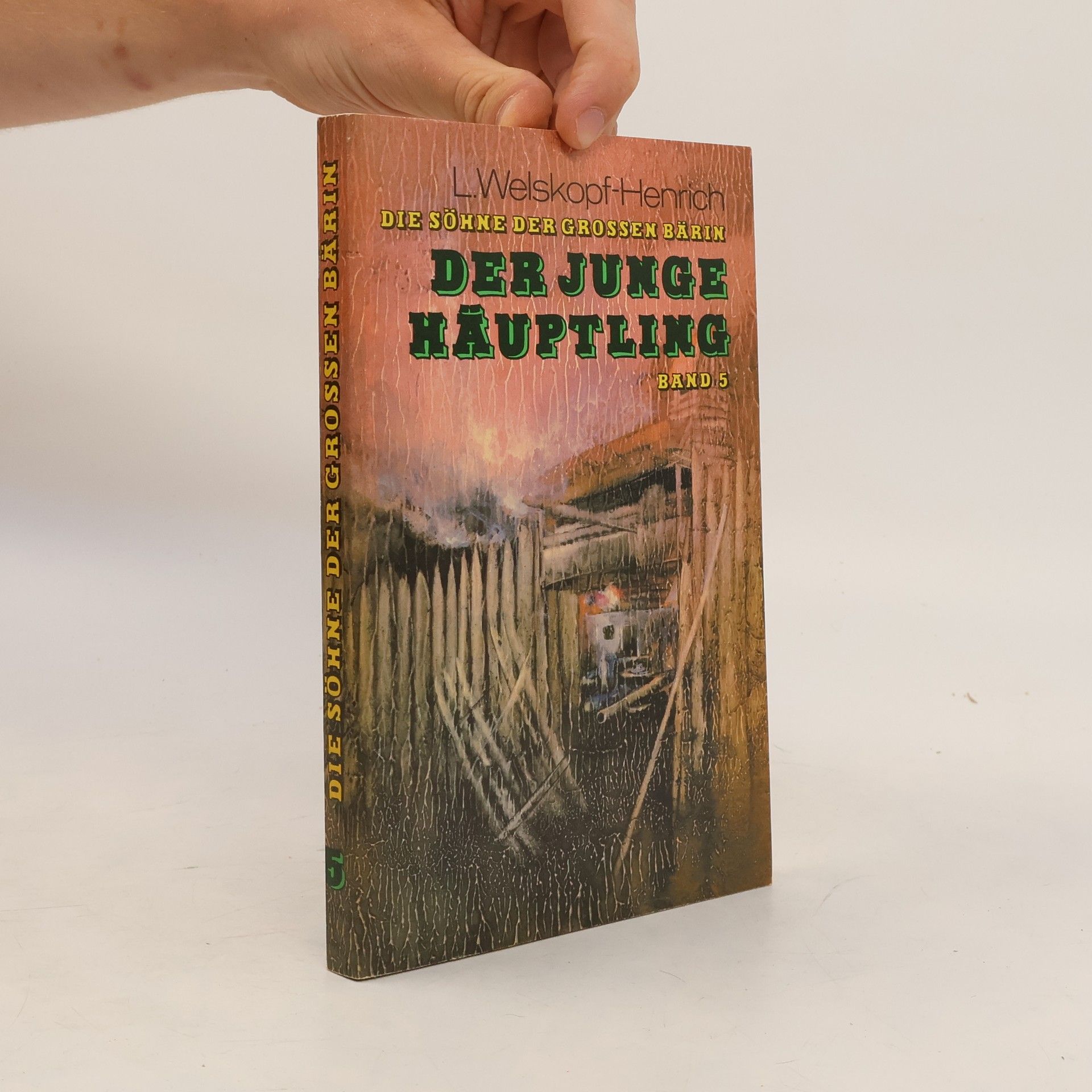 Liselotte Welskopfová-Henrichová Der Junge Häuptling 5