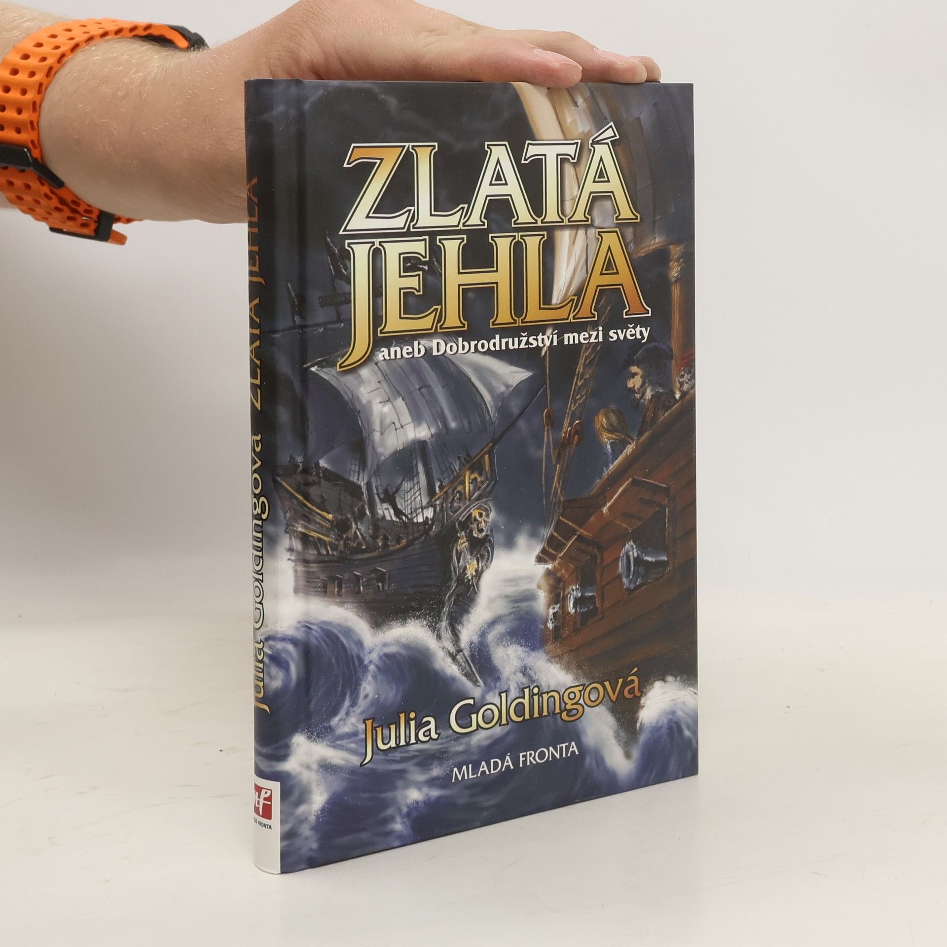 Julia Golding Zlatá jehla aneb Dobrodružství mezi světy