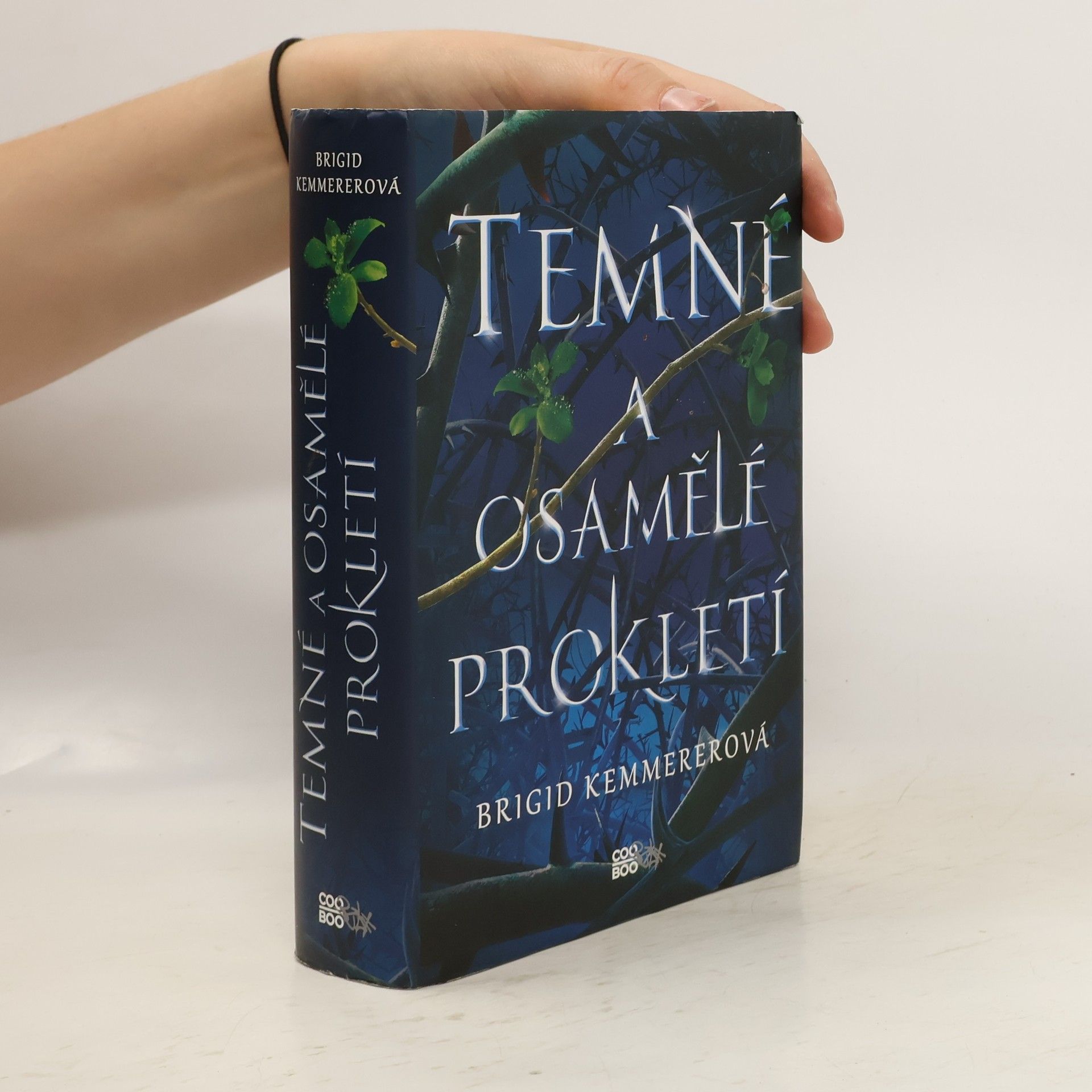 Brigid Kemmerer Temné a osamělé prokletí