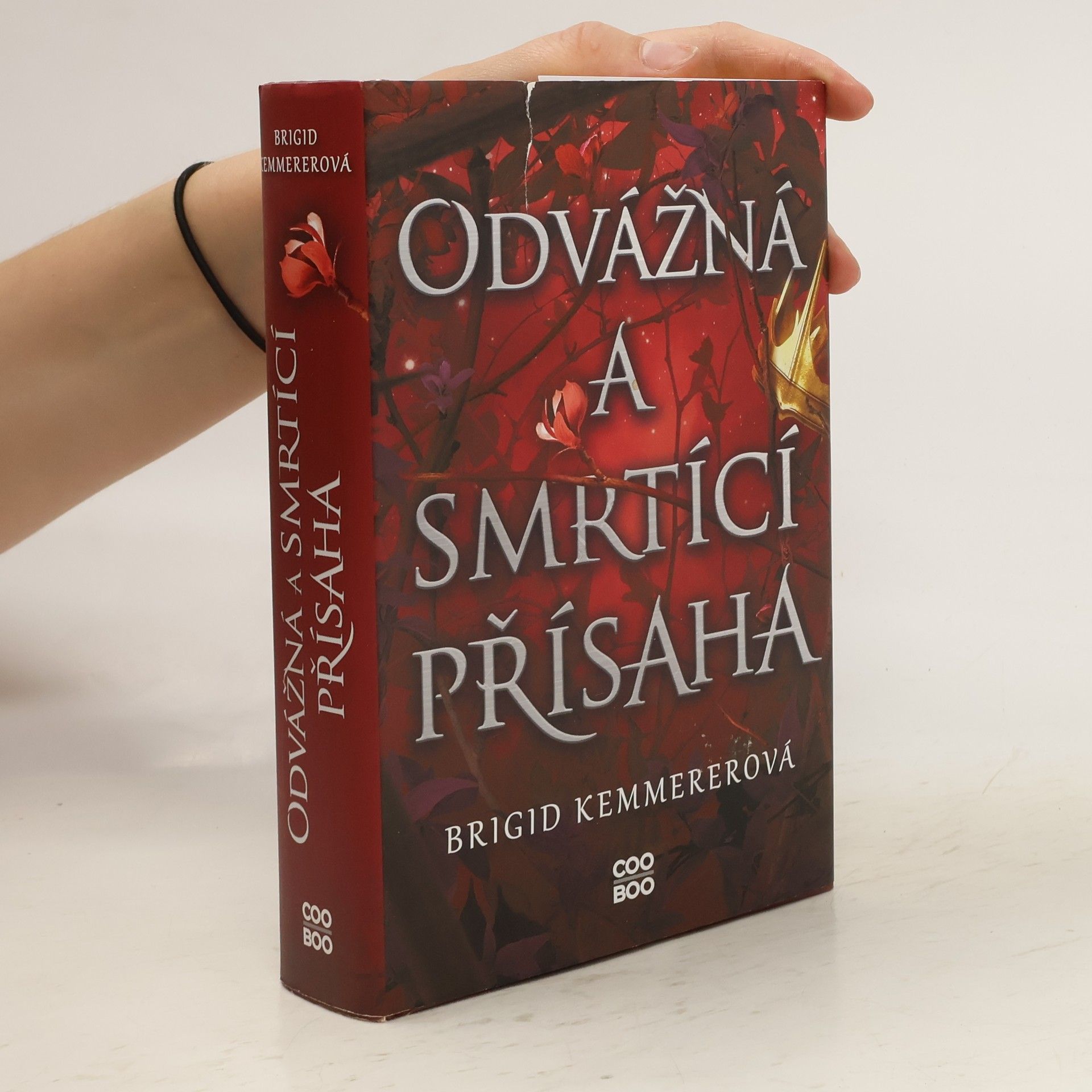 Brigid Kemmerer Odvážná a smrtící přísaha