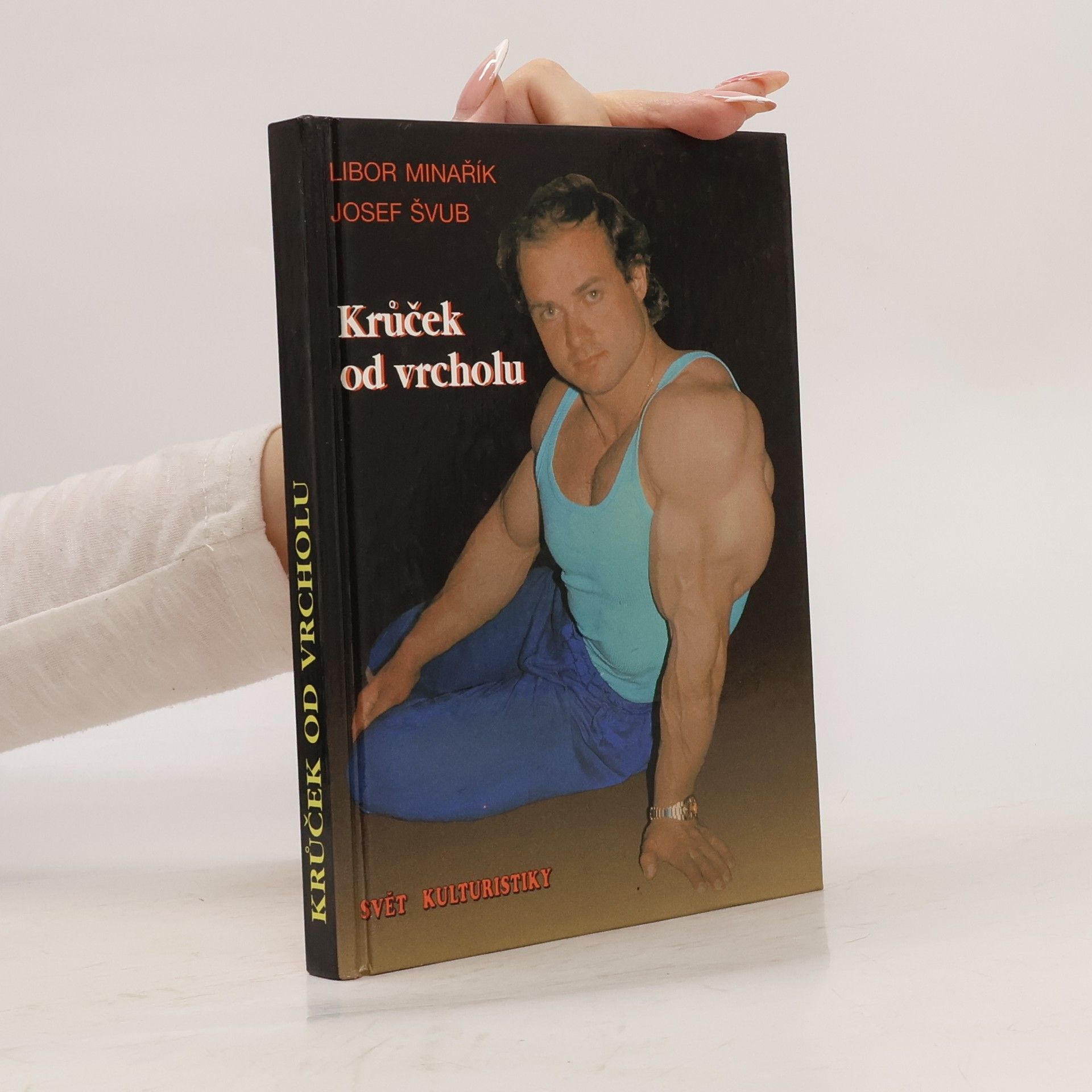 Josef Švub Krůček od vrcholu