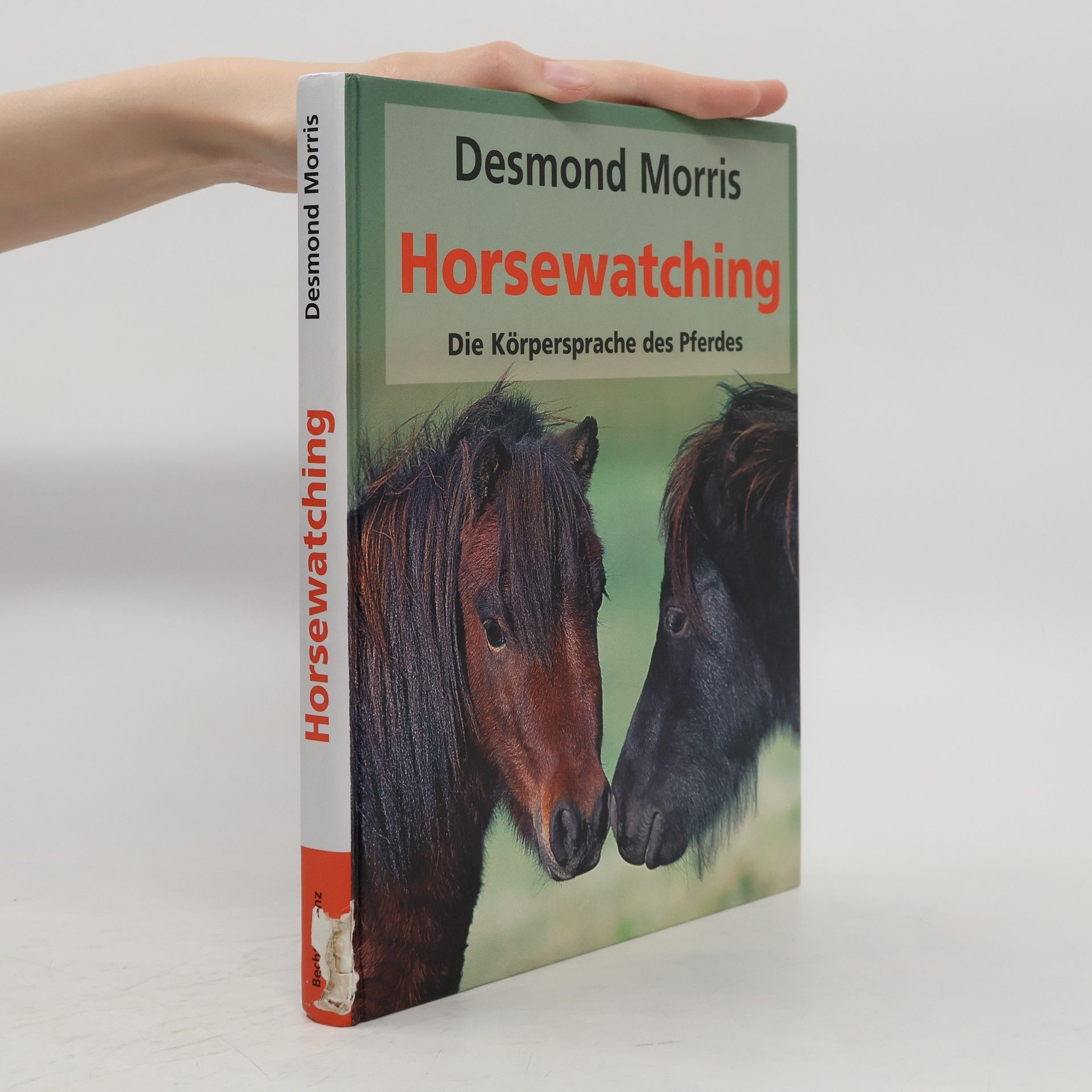 Desmond Morris Horsewatching