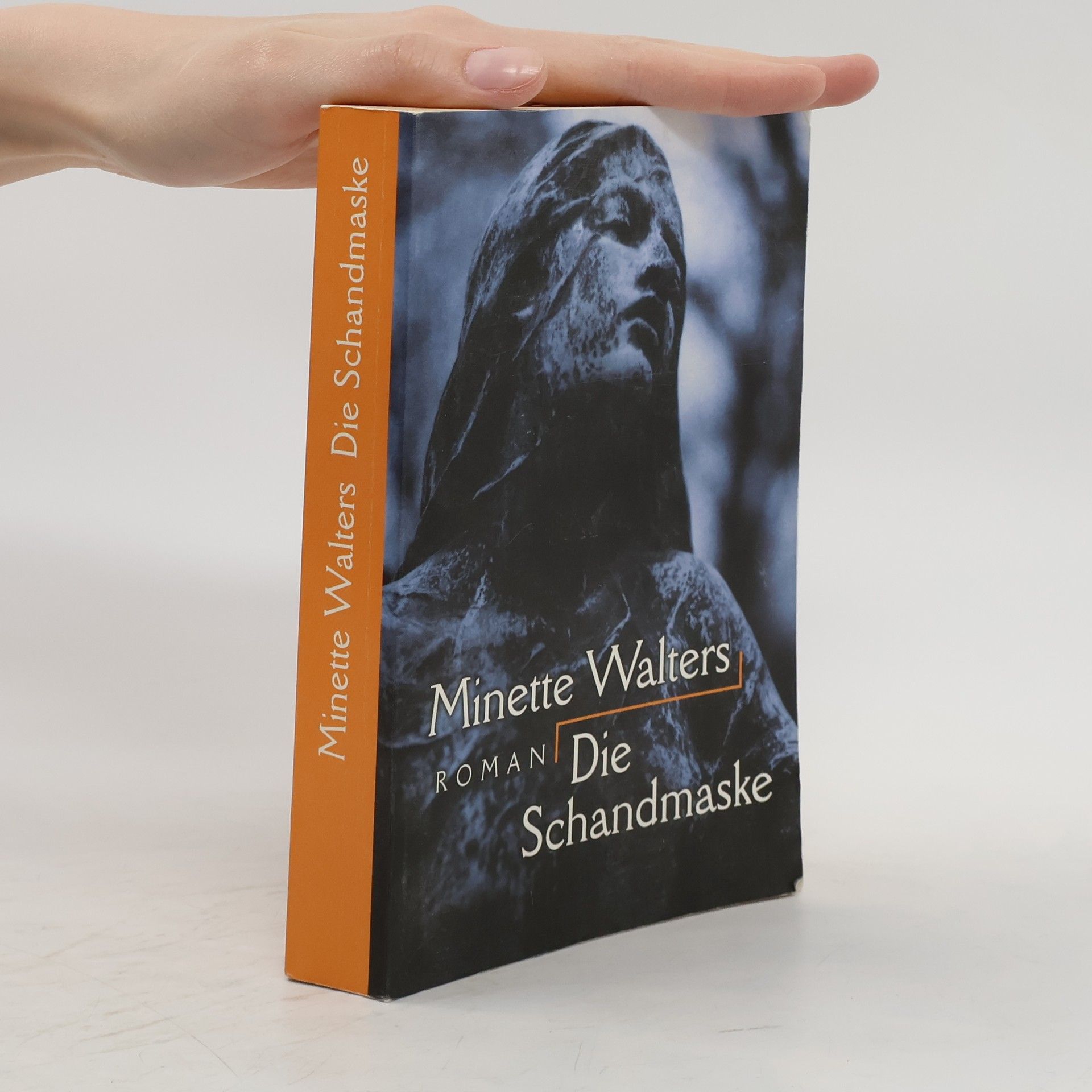 Minette Walter Die Schandmaske