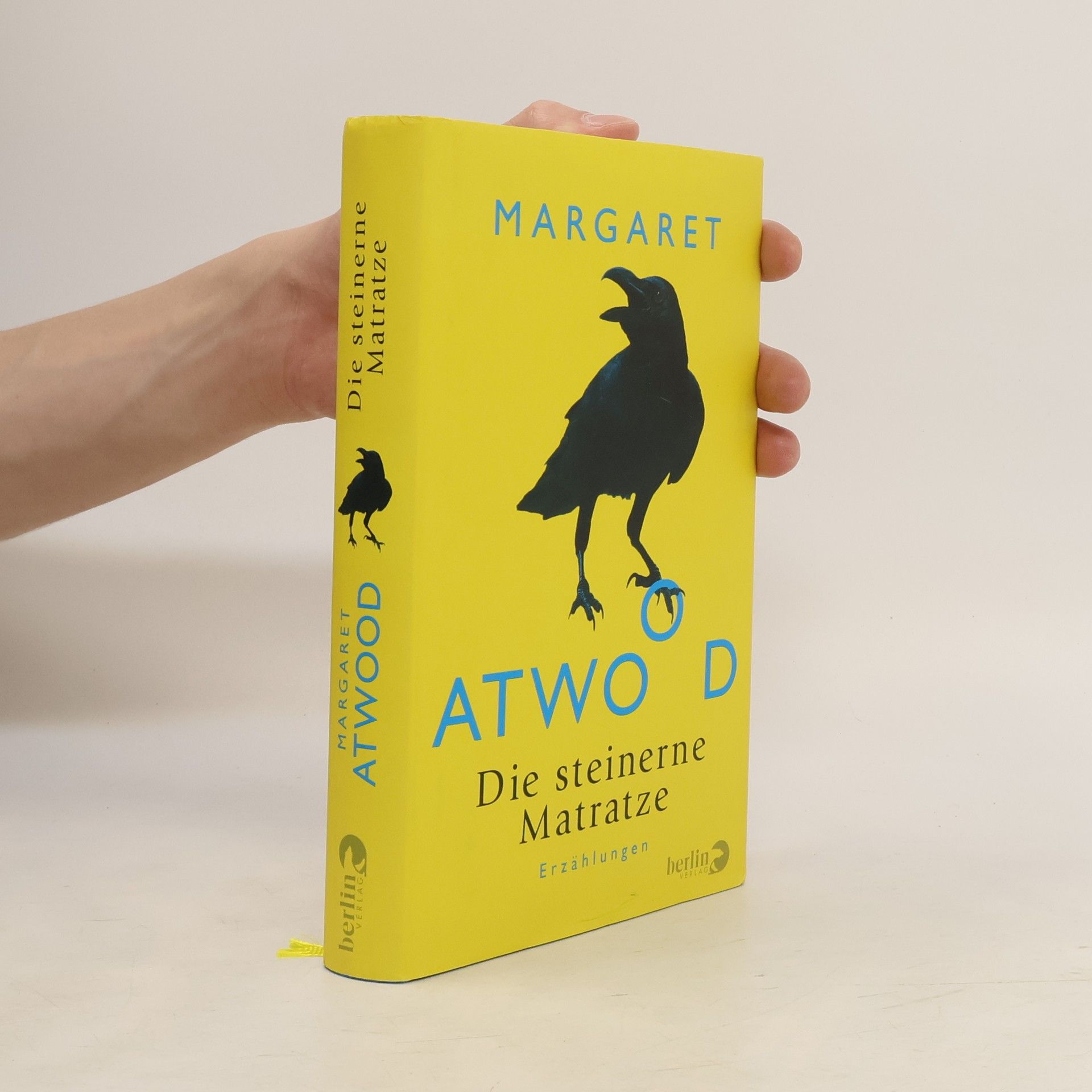 Margaret Atwood Die steinerne Matratze