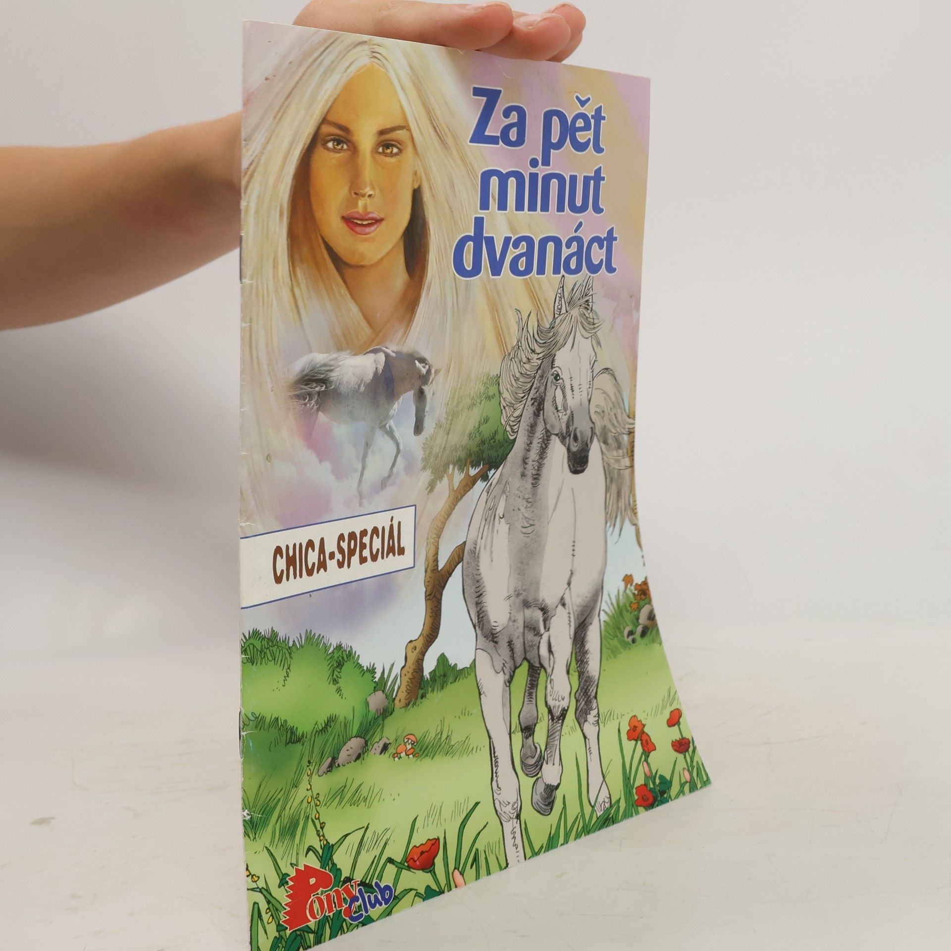 Collectif d'auteurs Chica za pět minut dvanáct
