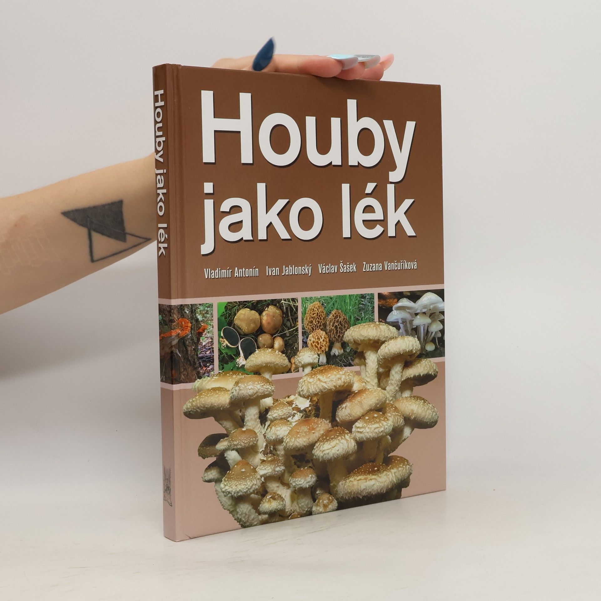 Vladimír Antonín Houby jako lék